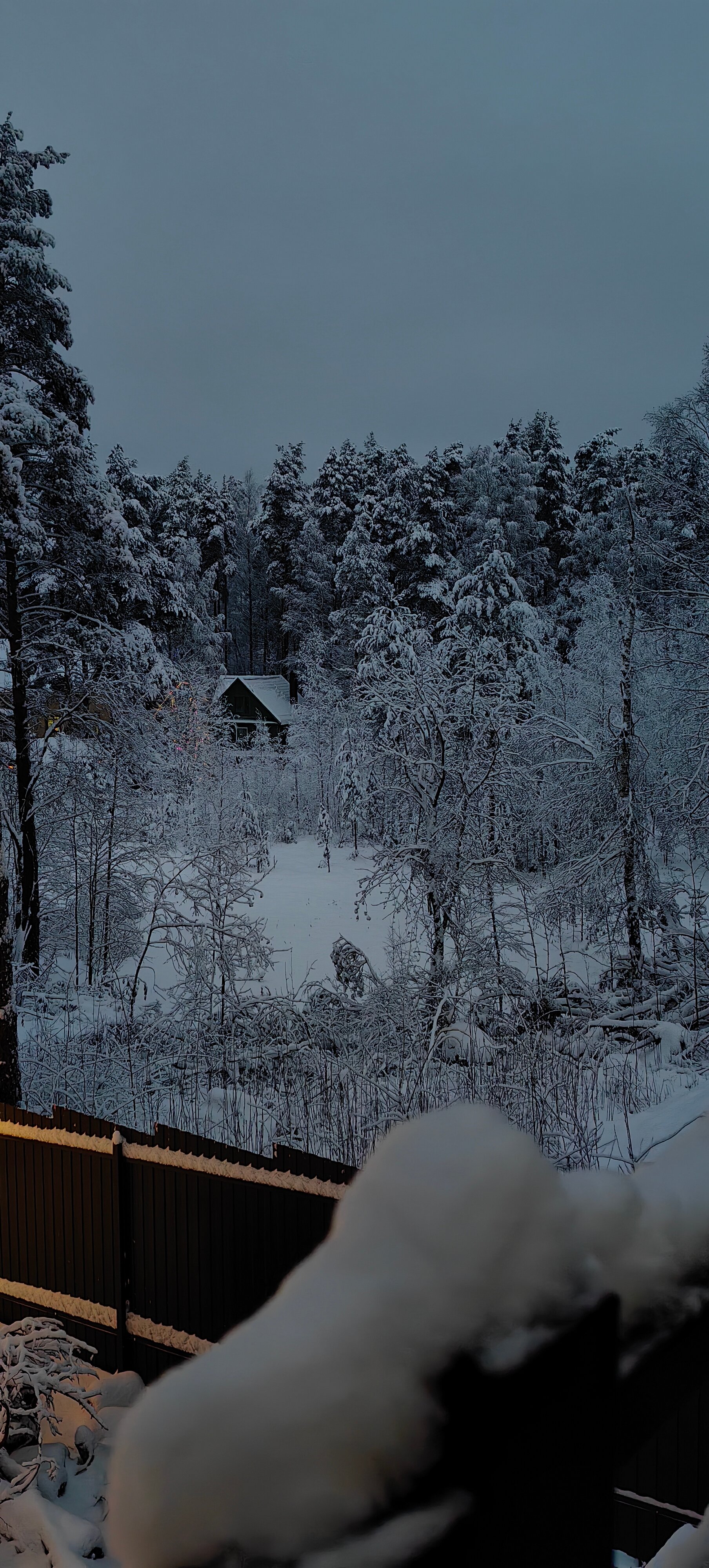 Фото Коттеджный комплекс Сосны