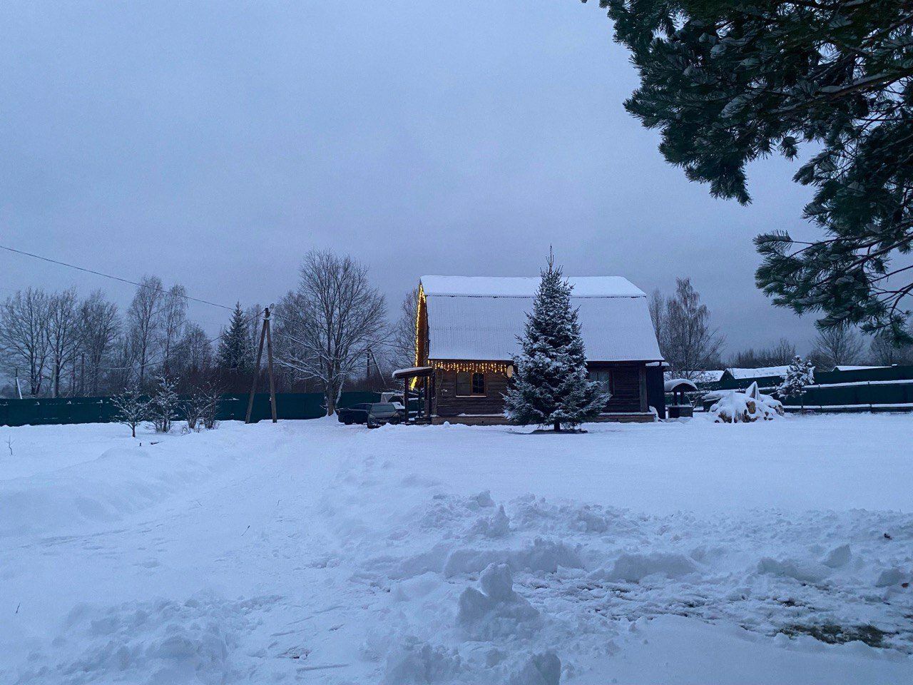 Фото Морошка