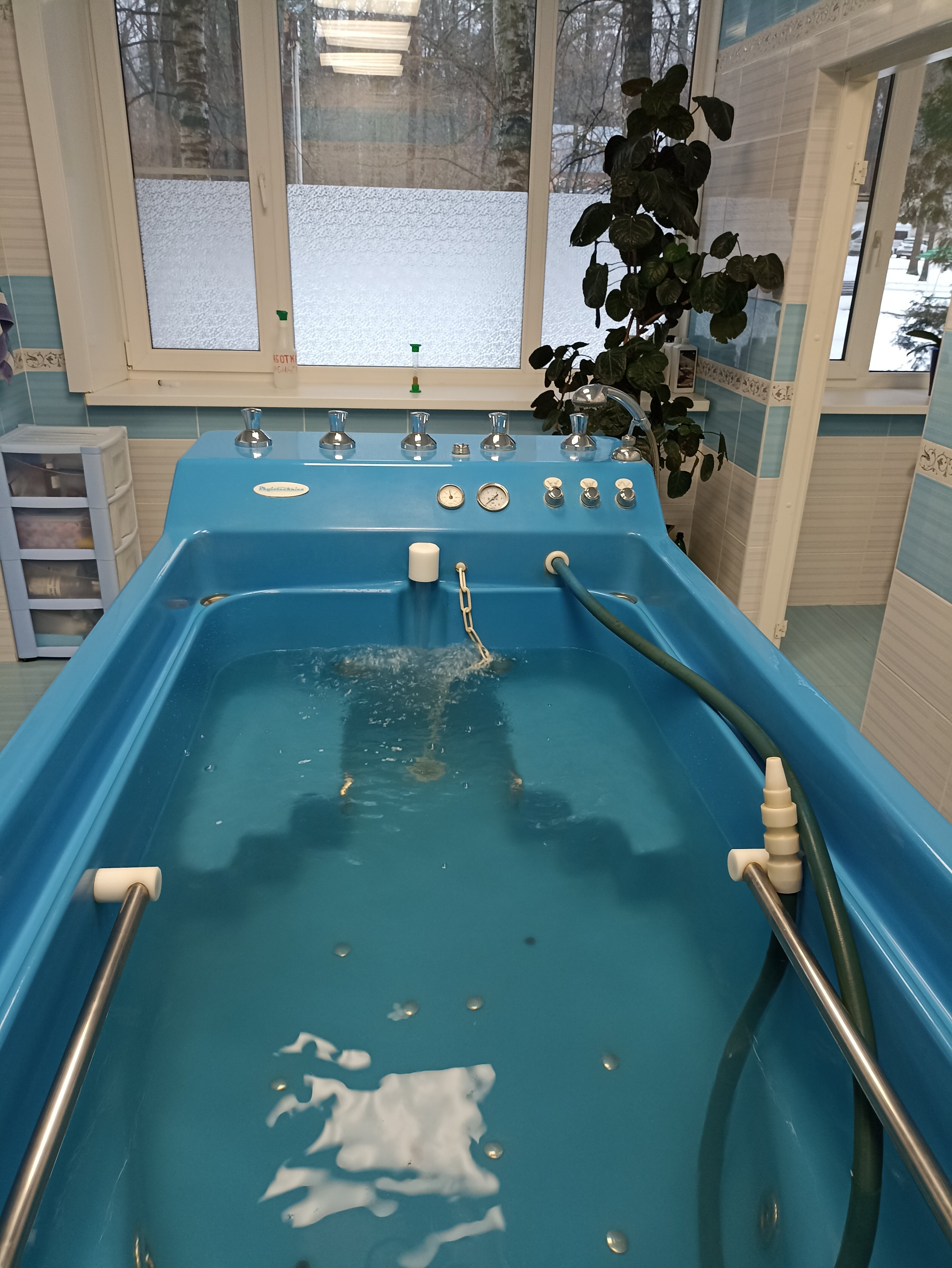 Фото Энергетик