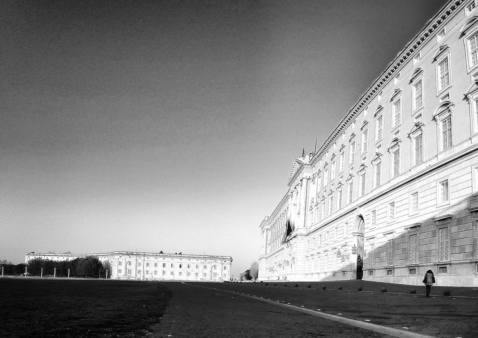 Фото 36530960616