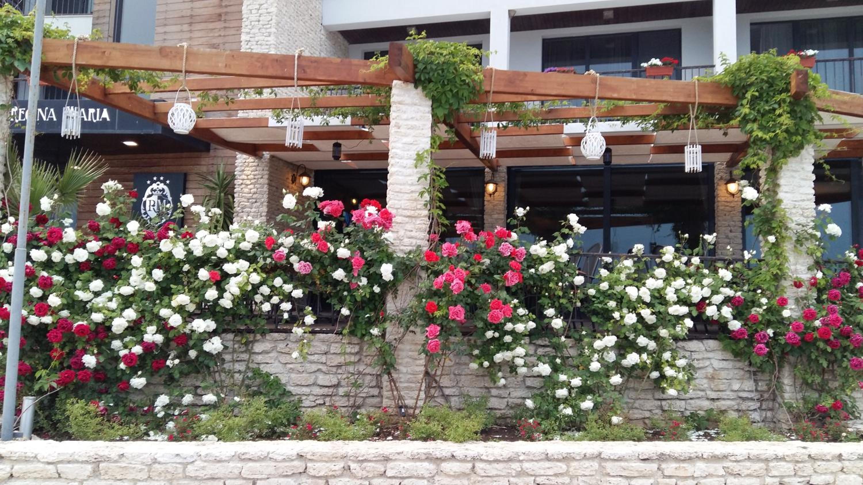 Фото Hotel Regina Maria & SPA