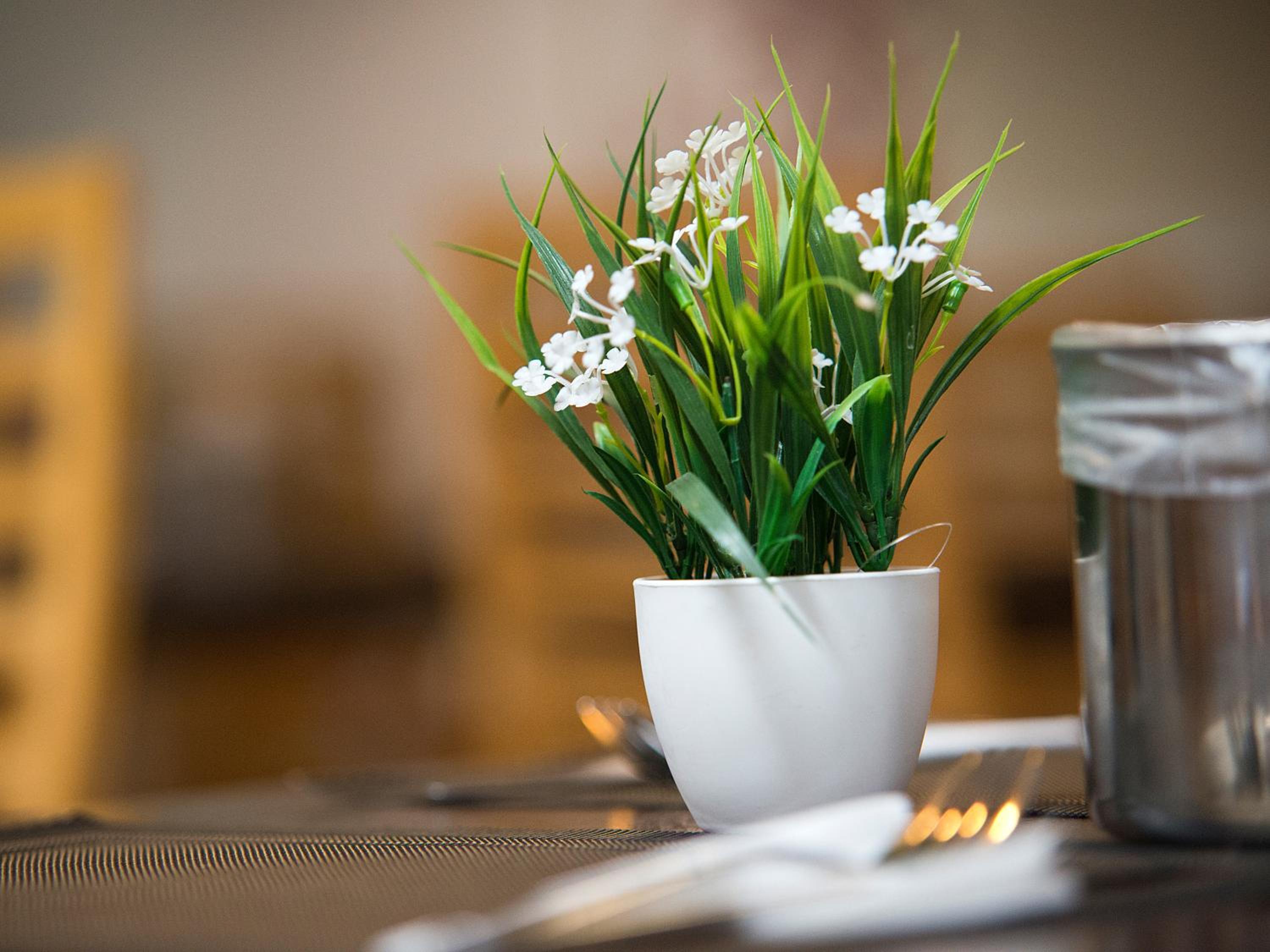 Фото Bungalows Vistaflor