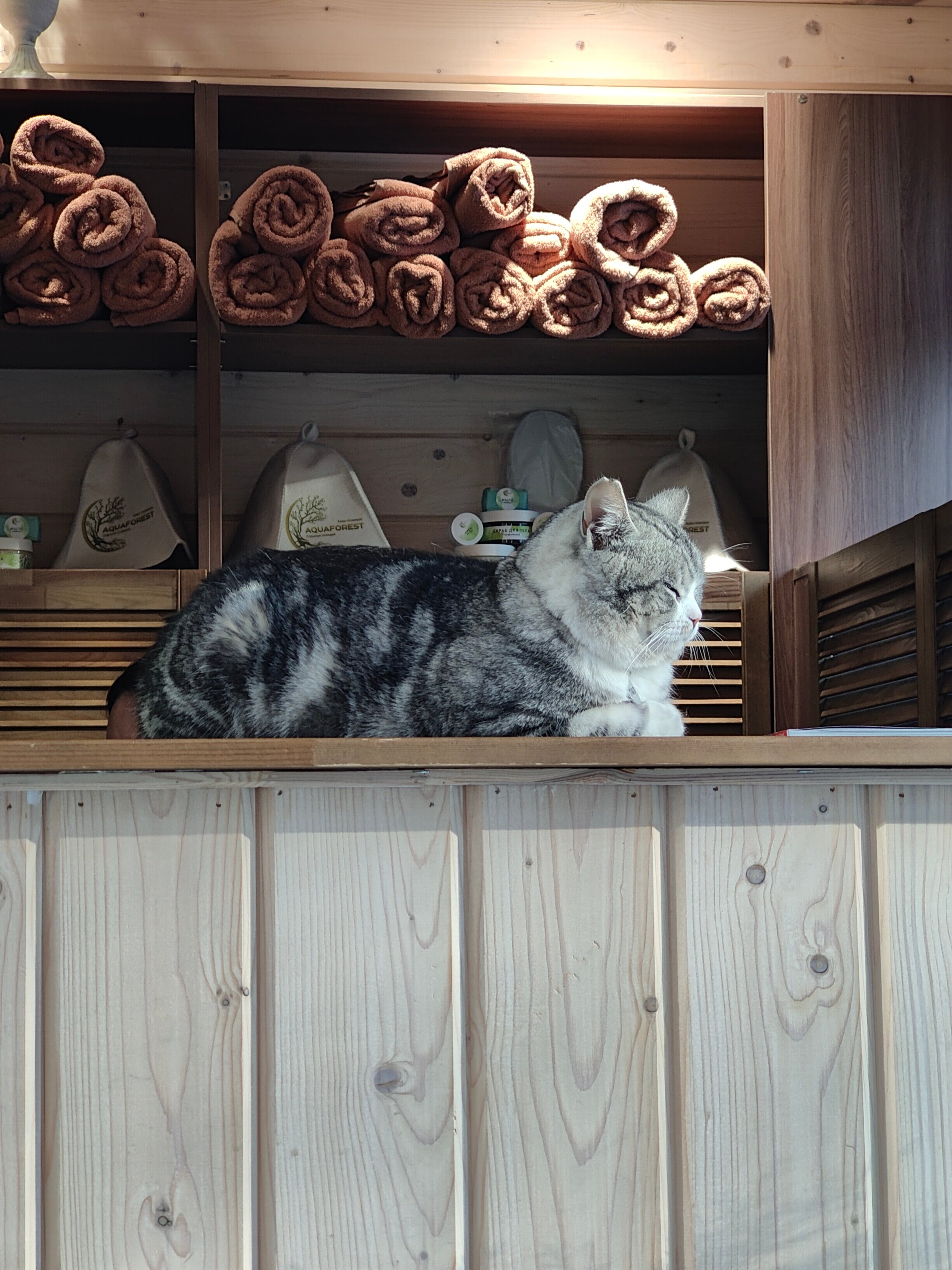 Фото Аквафорест