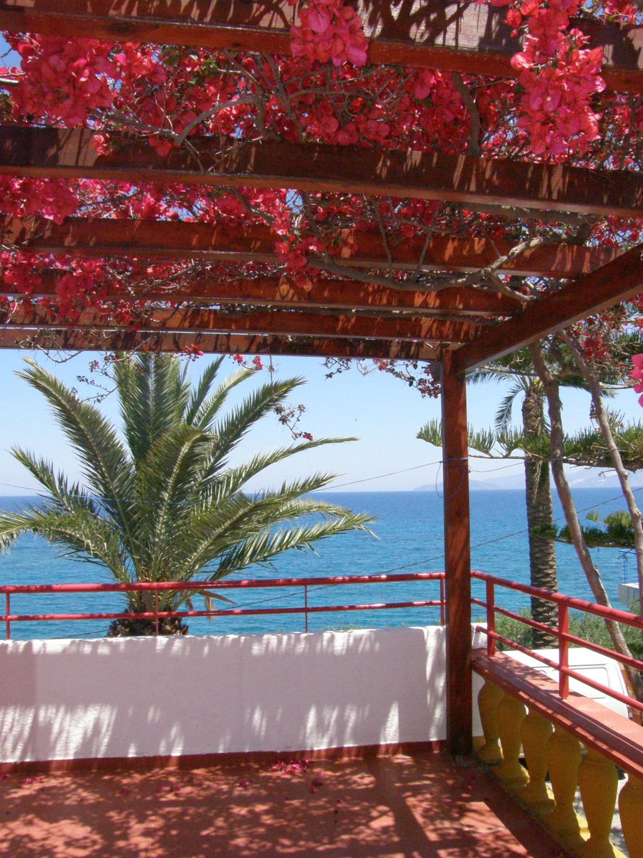 Фото Poppy Villas