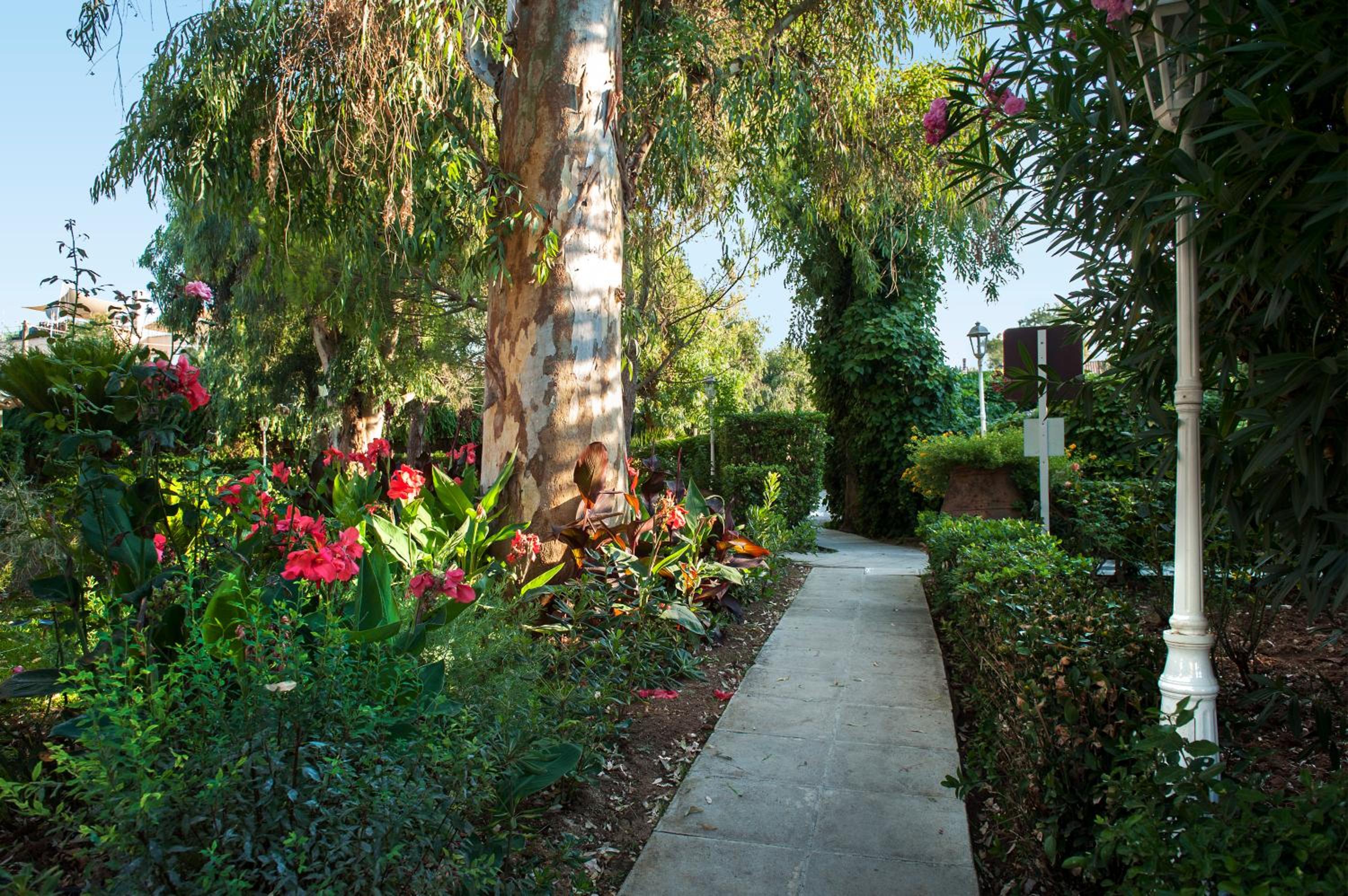 Фото Spiti Prifti