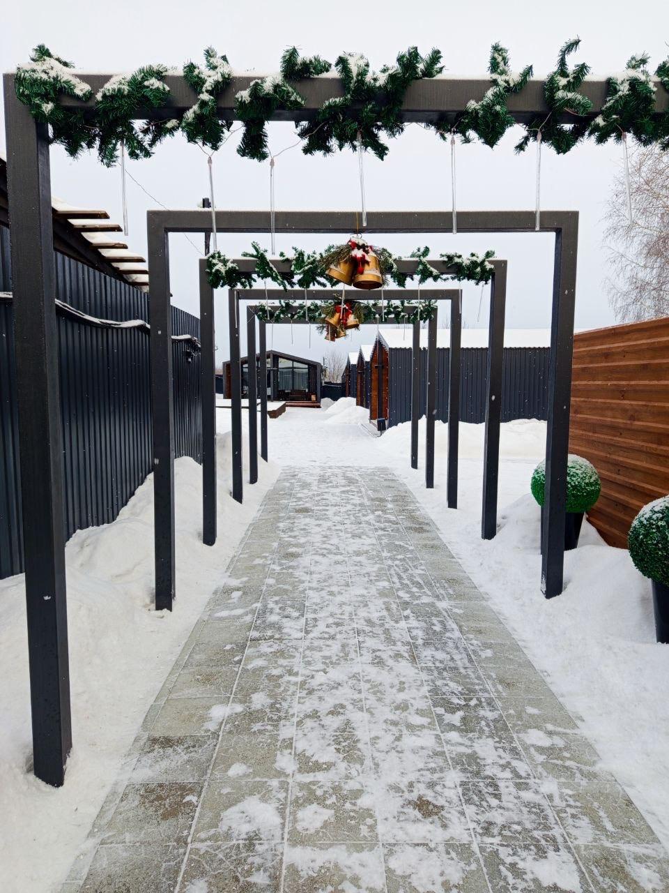 Фото Аура тополей