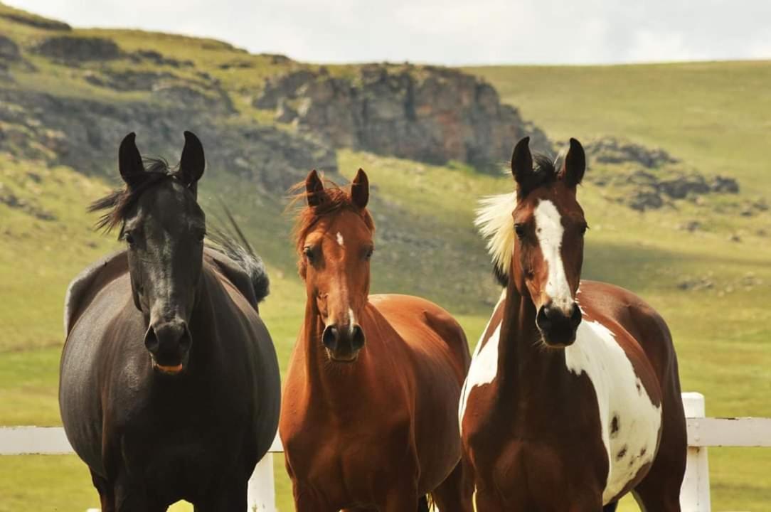 Фото Dunkeld Country Estate