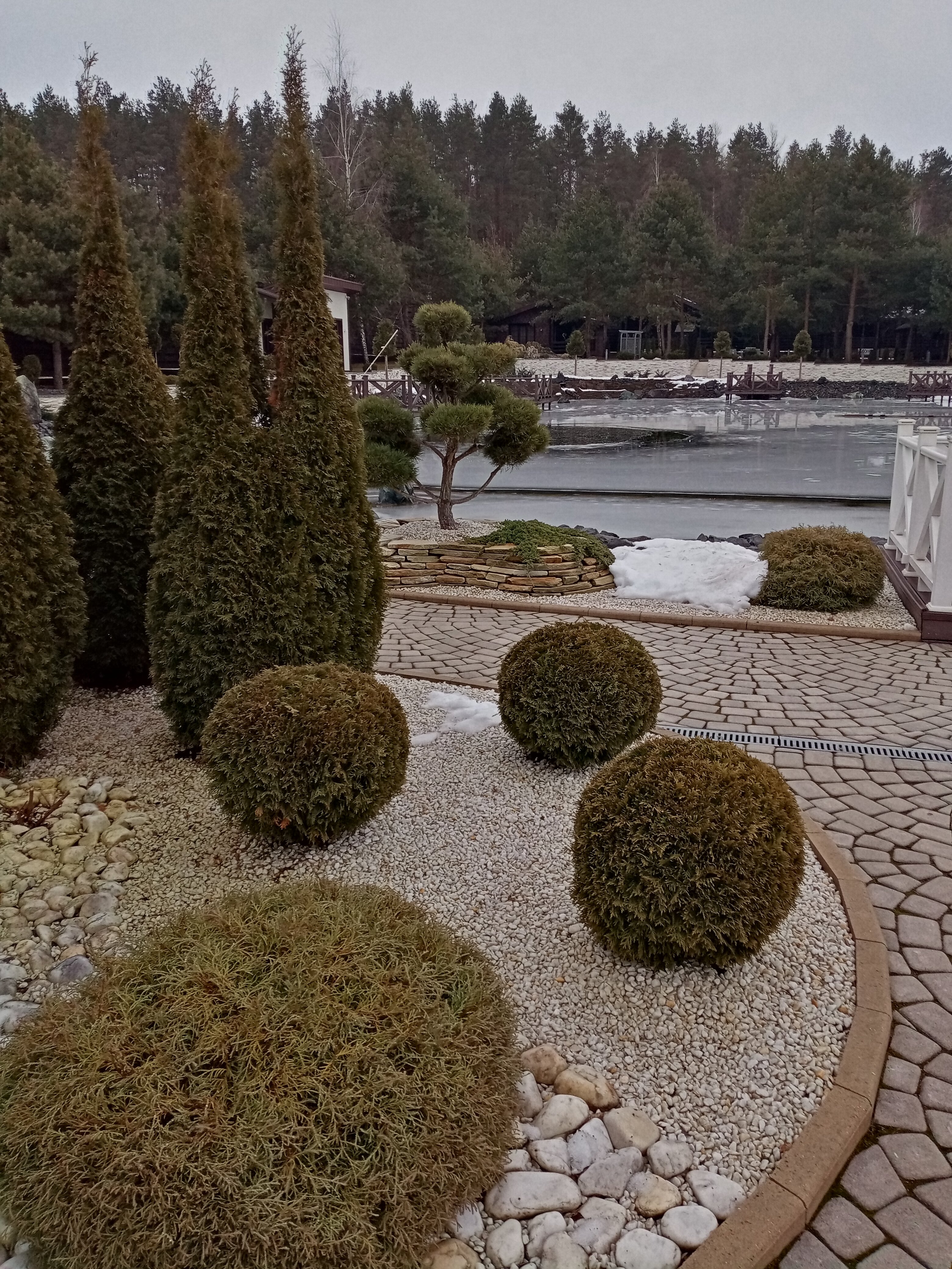 Фото Петровские Паруса