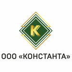 Константа (Radishcheva Street, 24), outsourcing