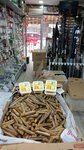 Sezgin Fish AV Market Live Bait Varieties Chinese Worm Keşan (Edirne, Kesan District, Yukarı Zaferiye Mah., Sebat Sok., 6B) ، لوازم الصيد