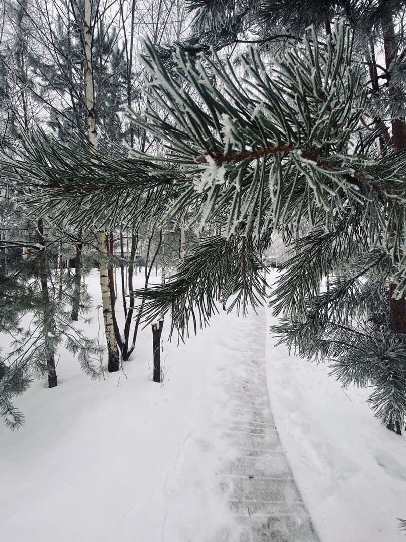 Фото Афрейм Атмосфера