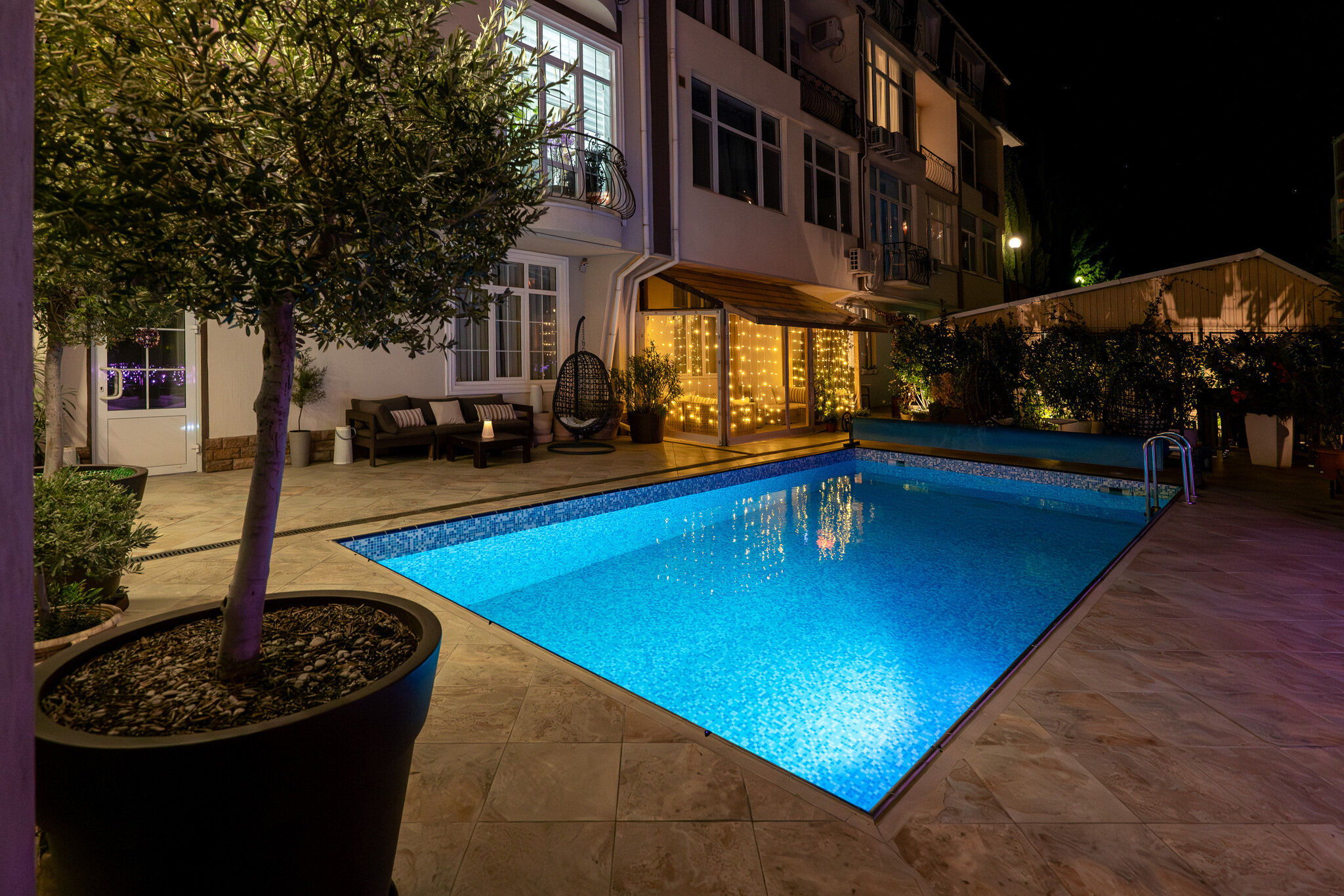 Фото Мускатель