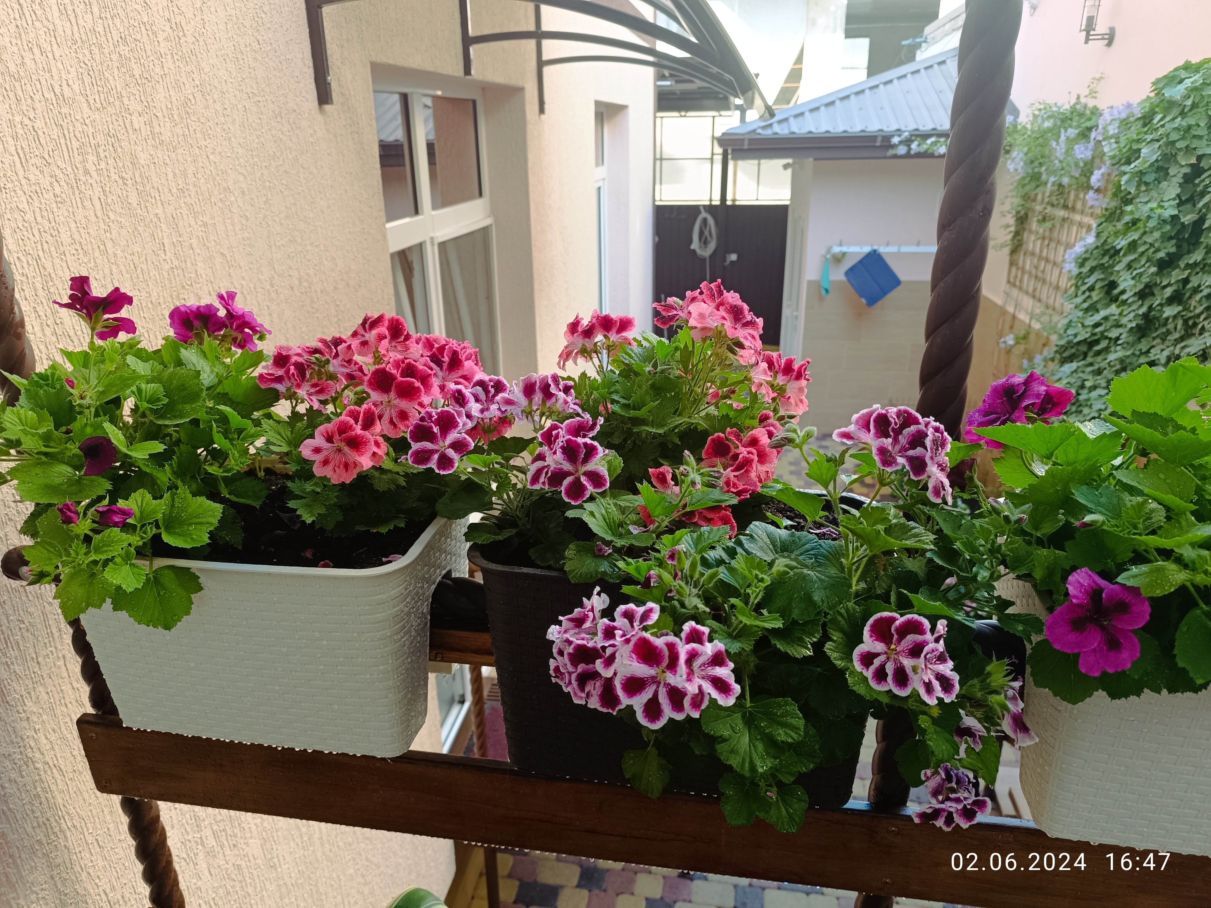 Фото Гостевой дом на Декабристов