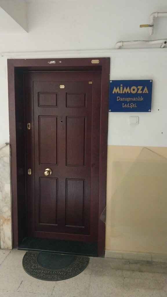 Business consulting Mimosa Consulting, Ankara, photo