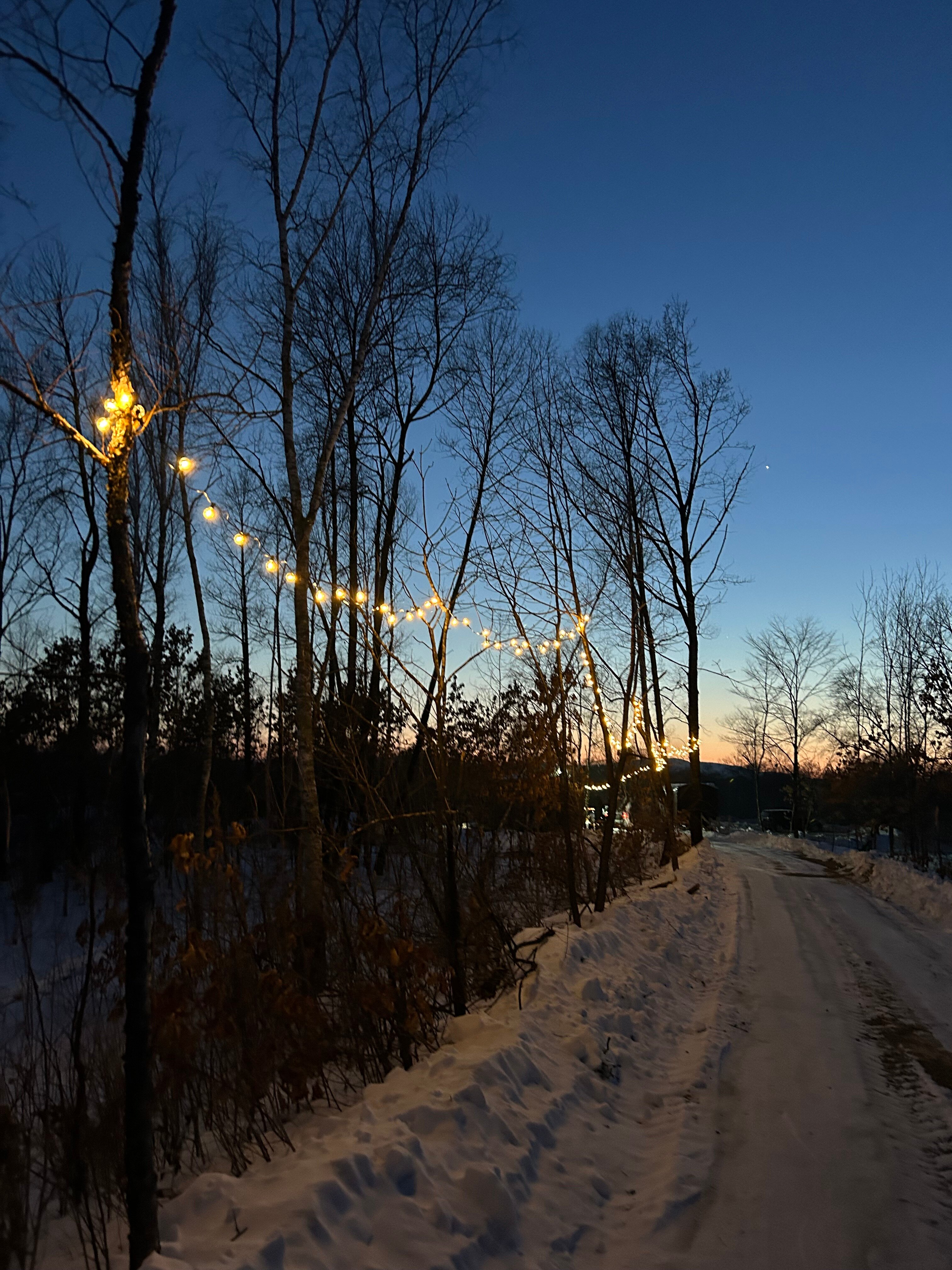 Фото Деревня Романовых