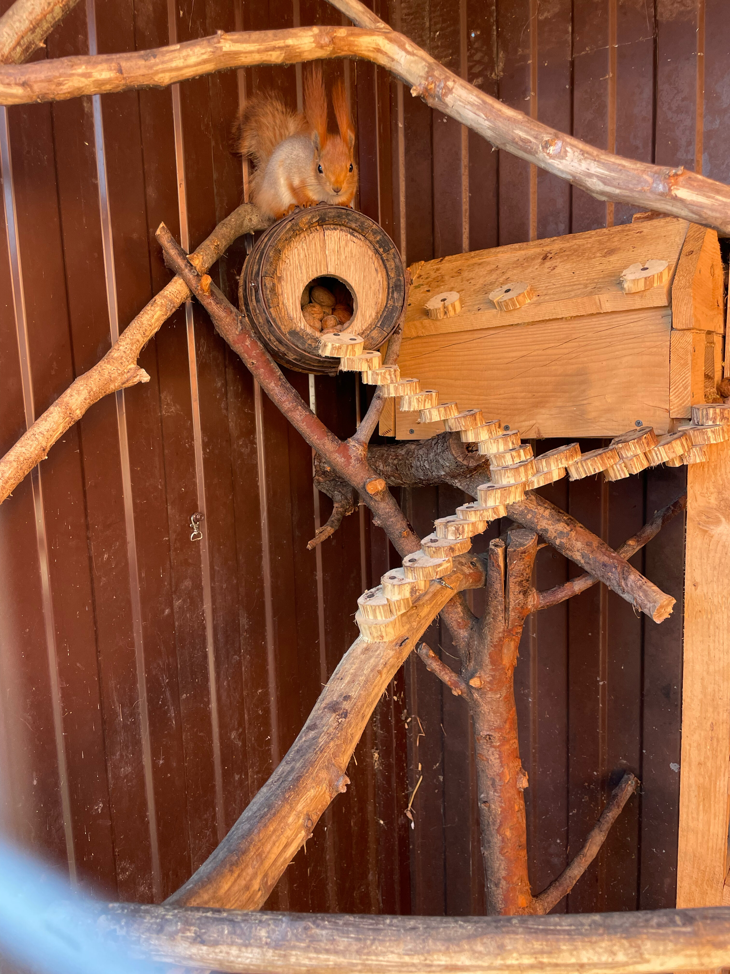 Фото Проксима