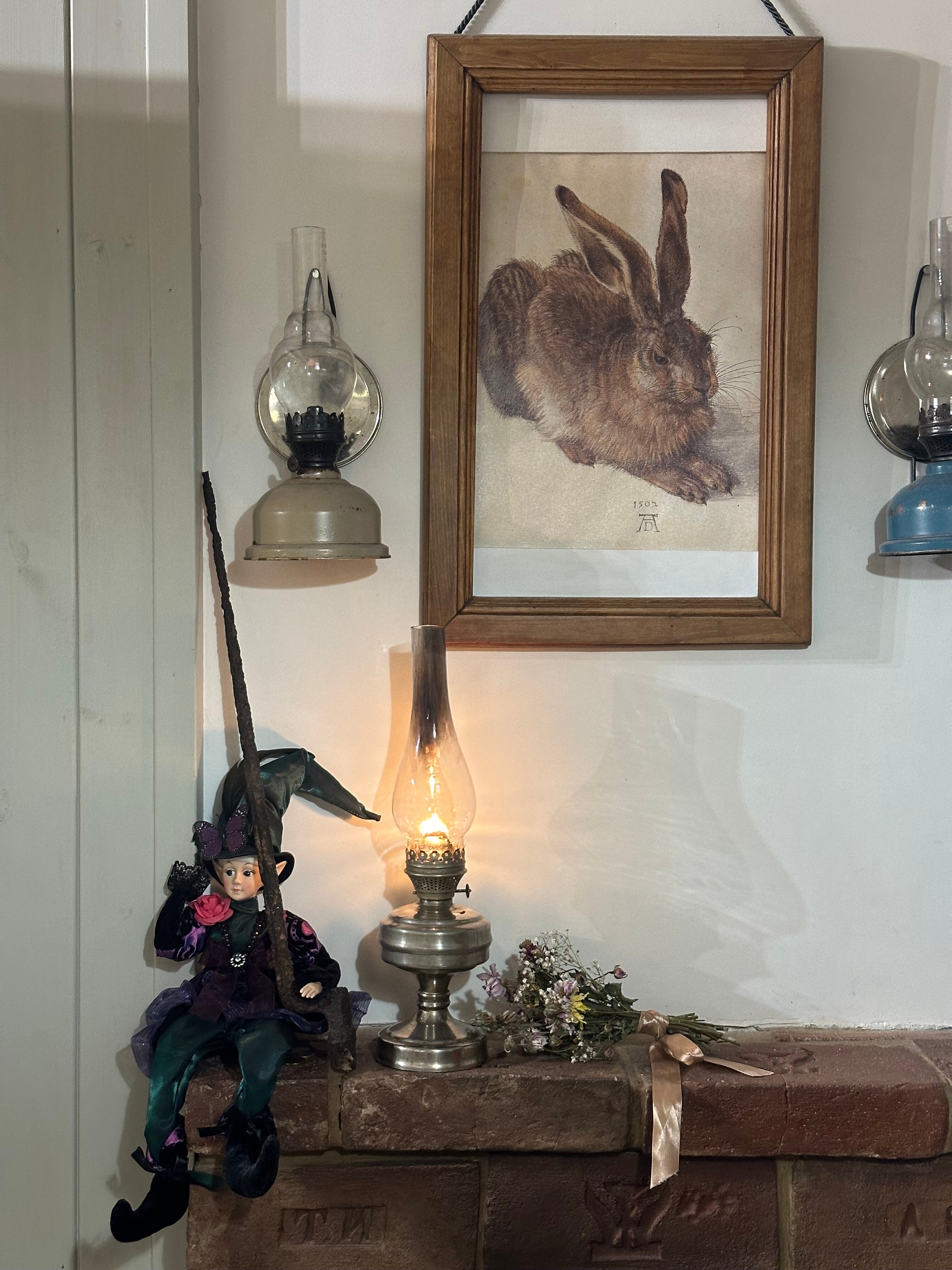 Фото Пенеснарь Home