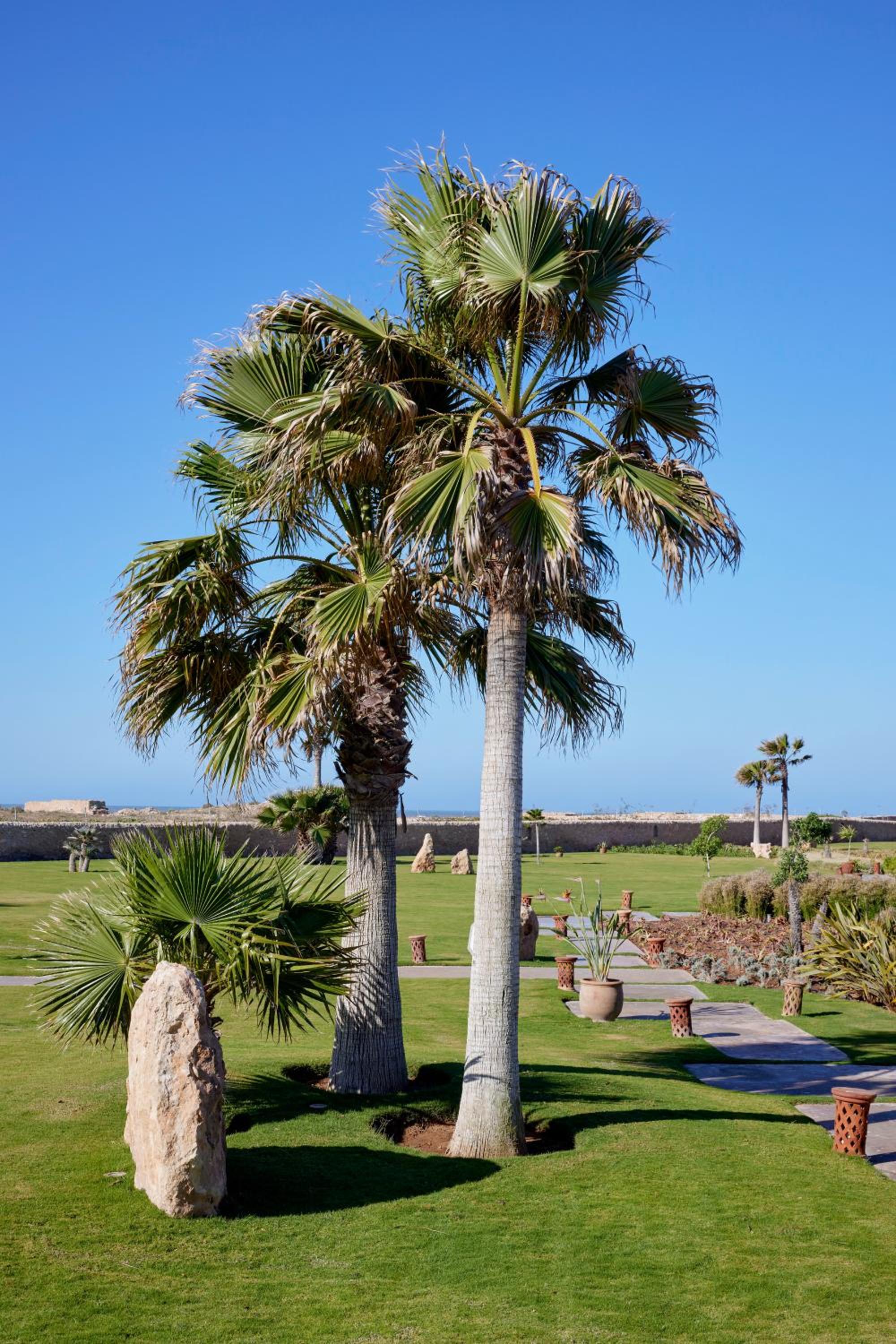 Фото Baberrih Hospitality Palaces & Resorts