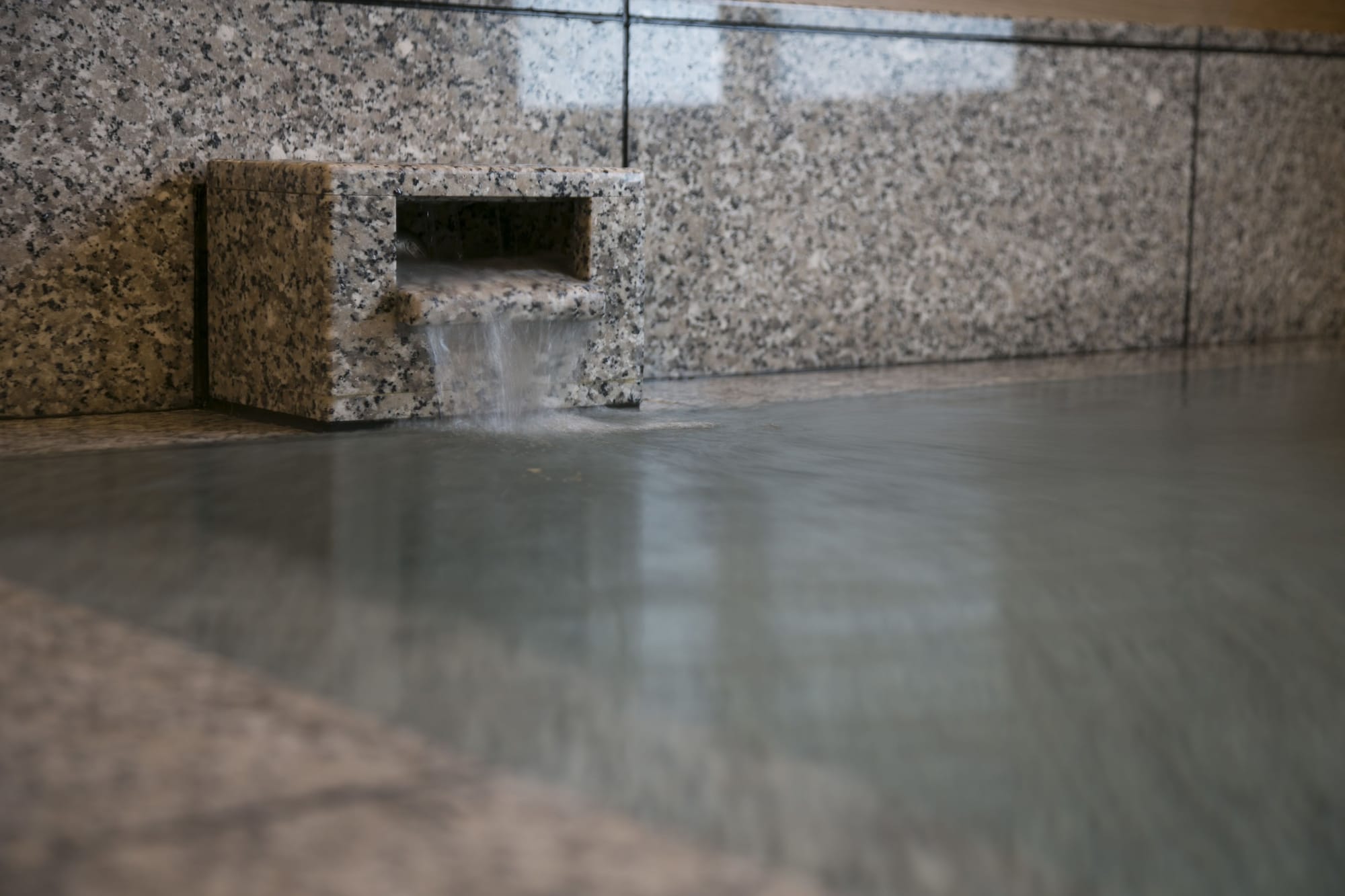 Фото Business Hotel Kosanagi