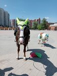 Конно-спортивный комплекс (Cherepovets, Kirillovskoye Highway, 55А) ، ركوب الخيل