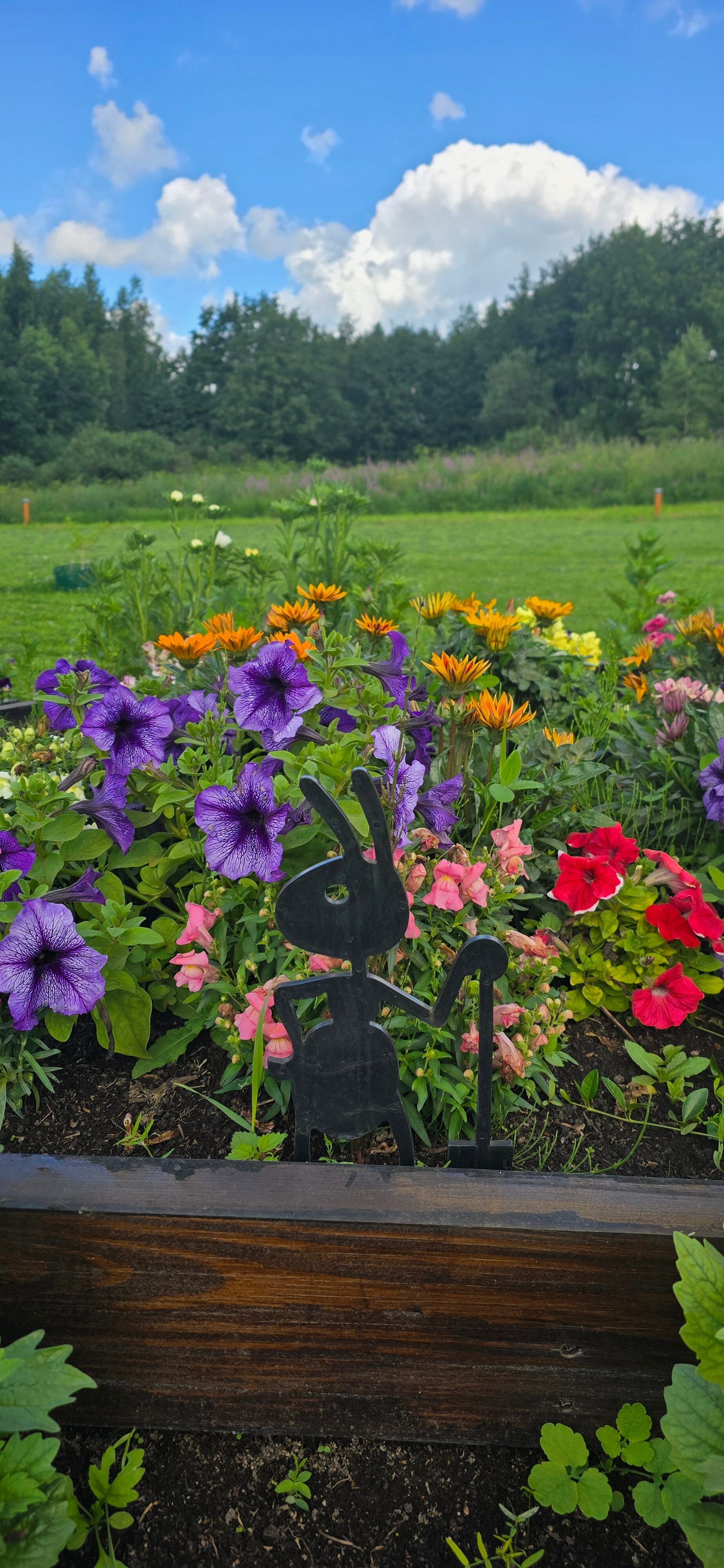 Фото Волшебный лес