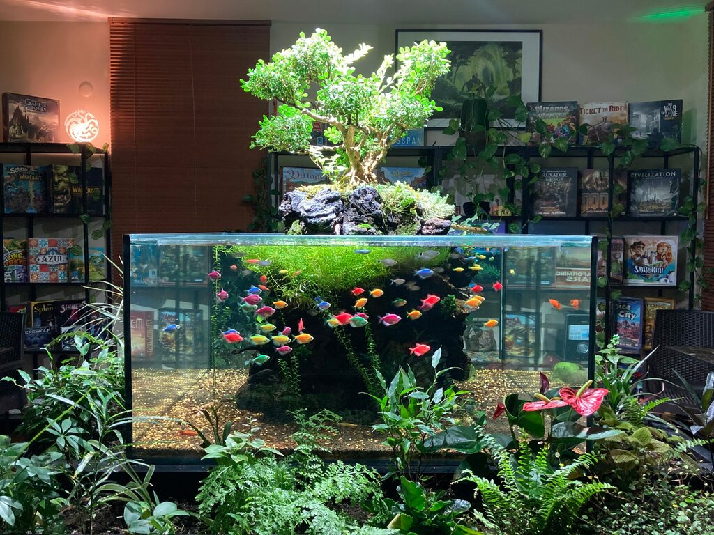 Software companies Gathering Tree, Istanbul, photo