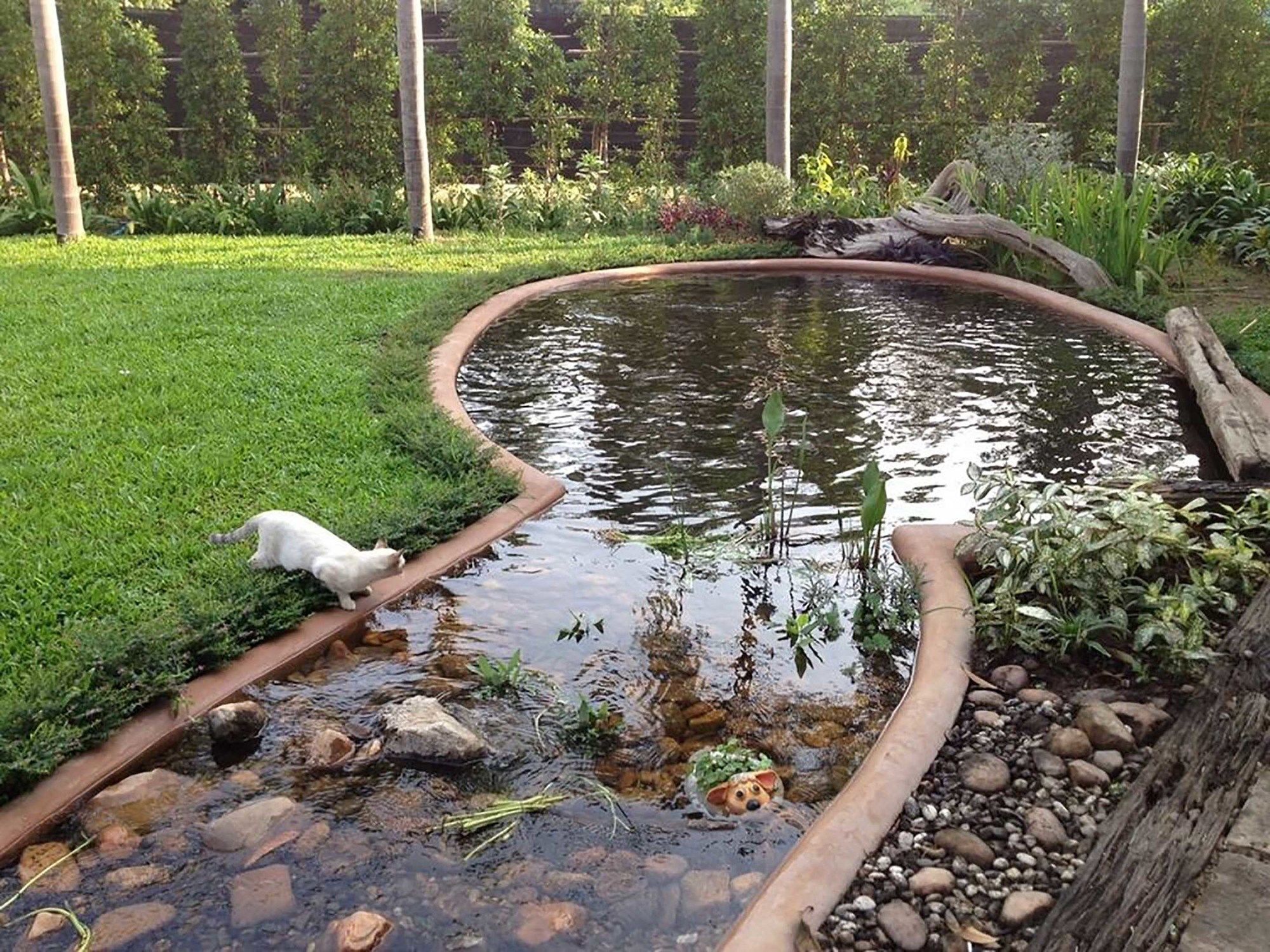 Фото Good Times Resort