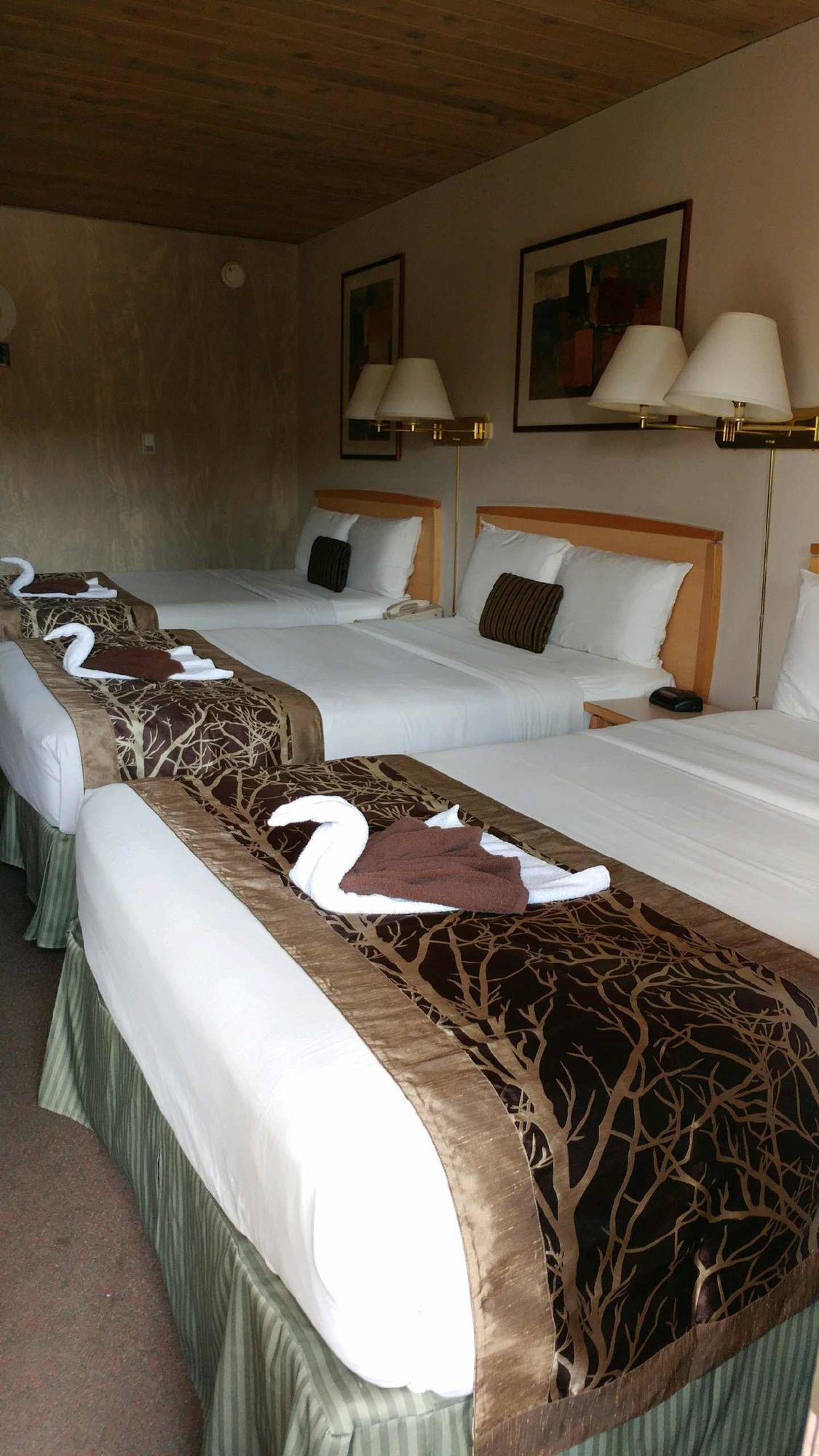 Фото Canadas Best Value Inn & Suites Fernie