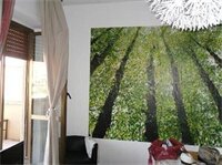 Фото Bamboo Bed & Breakfast