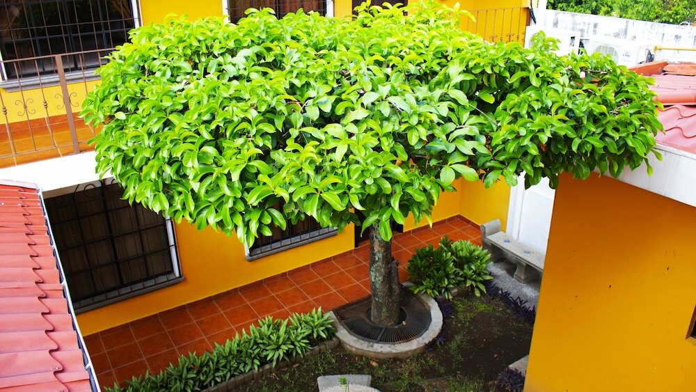 Фото Hotel Villa Terra