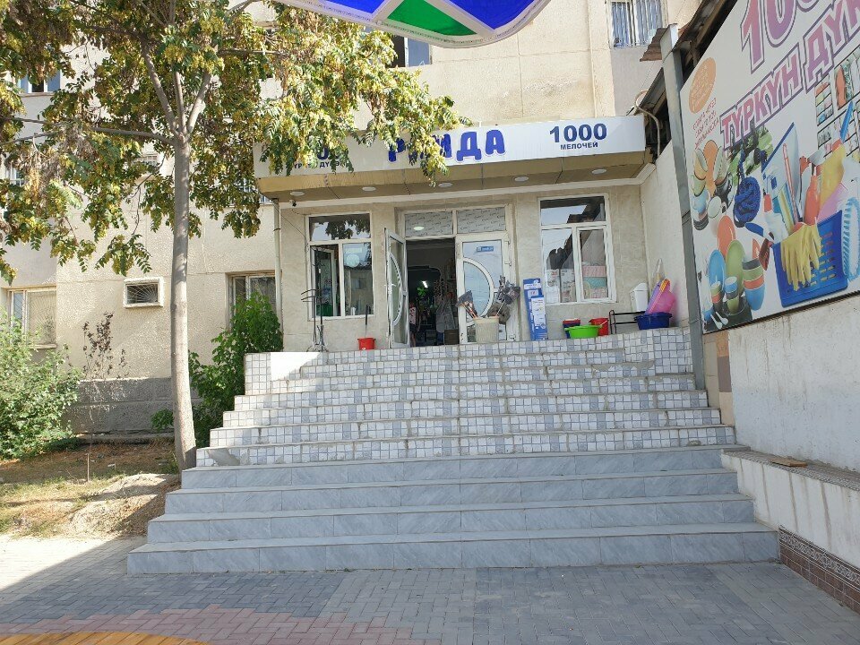 Household goods and chemicals shop Raida, Osh, photo