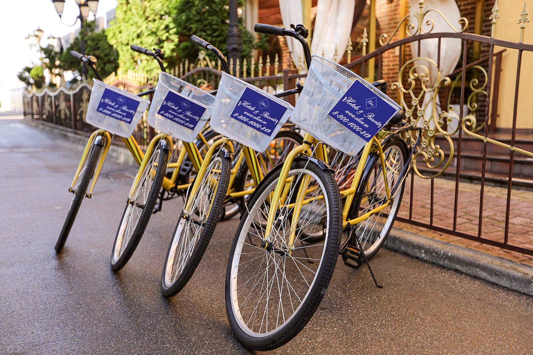 Фото Принцесса Элиза