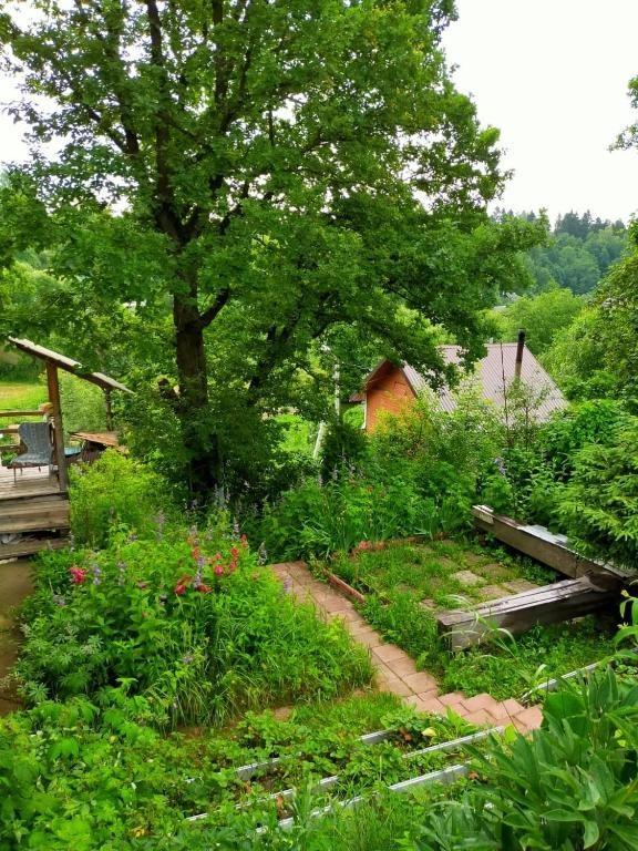 Фото Дом Солнца