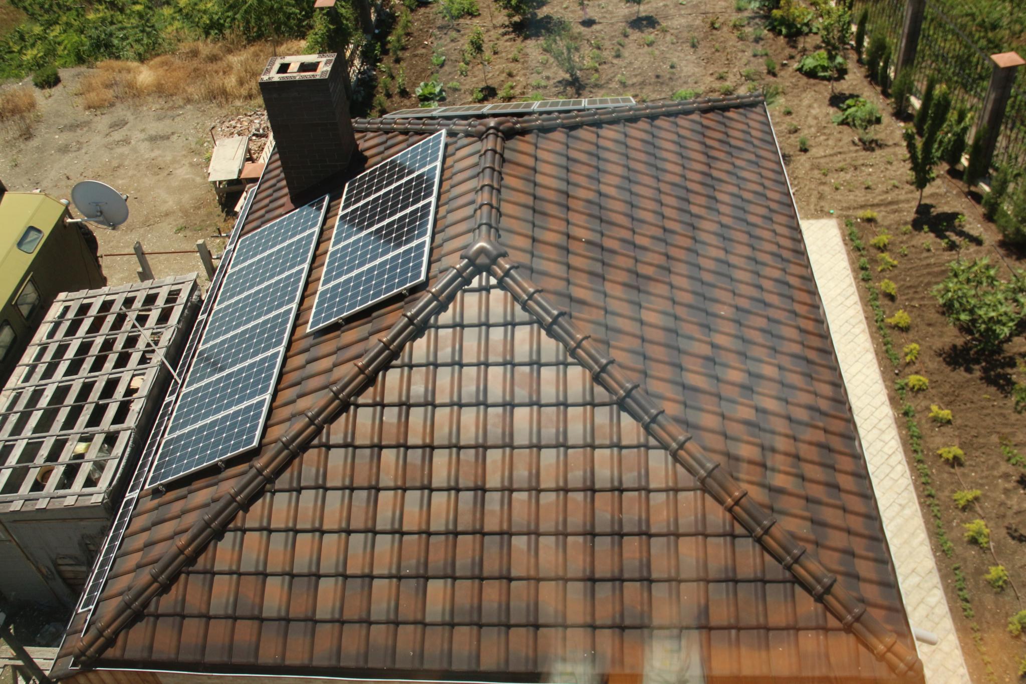 Фото Авокадо