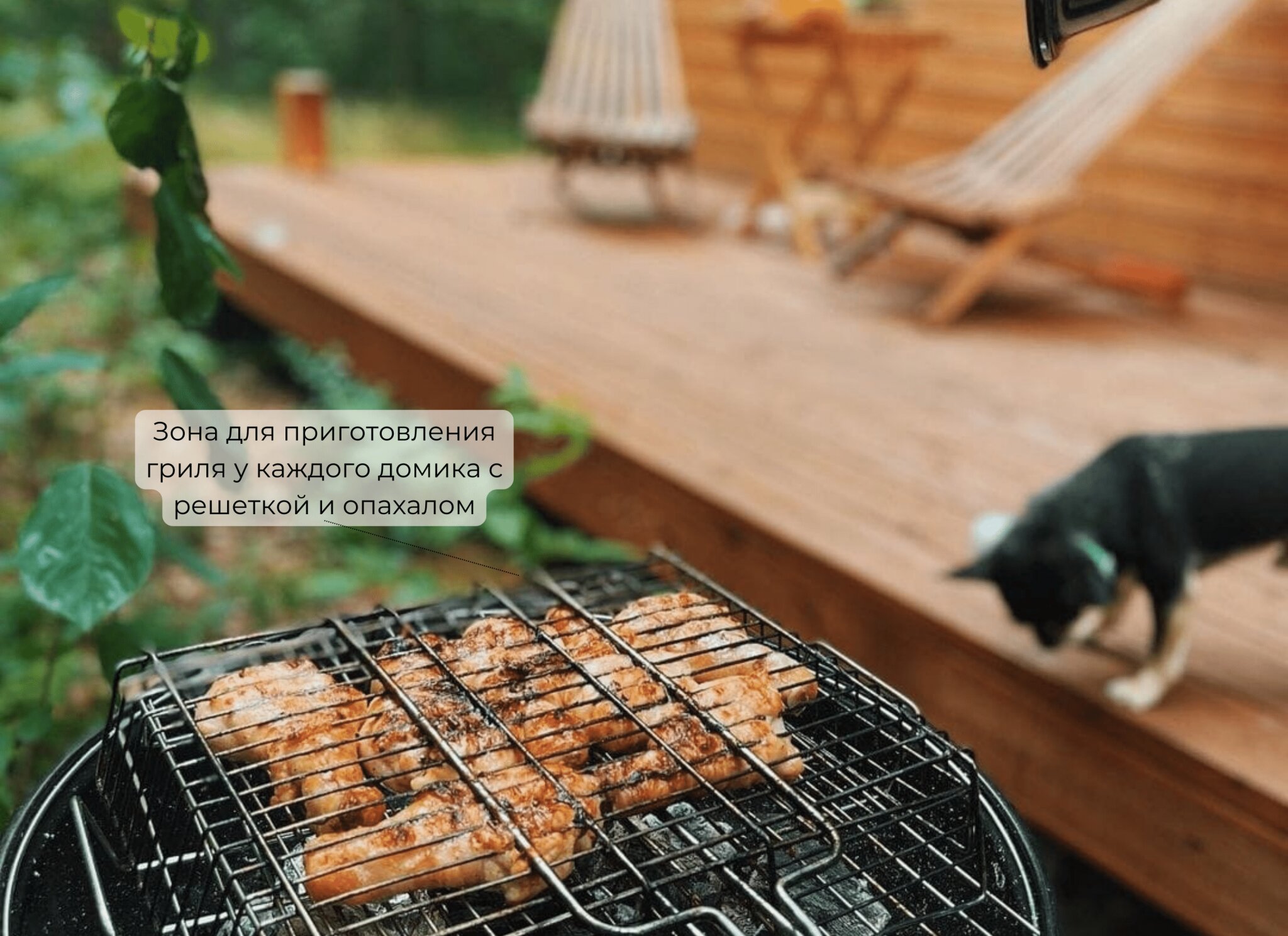 Фото Точка Притяжения