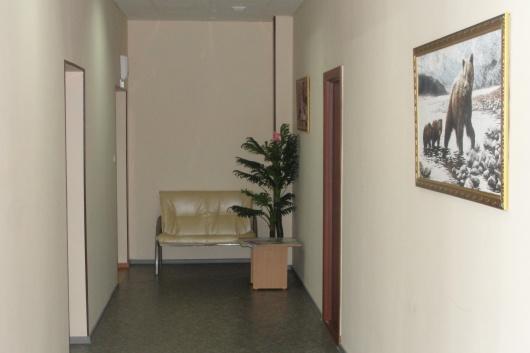 Фото Сафари