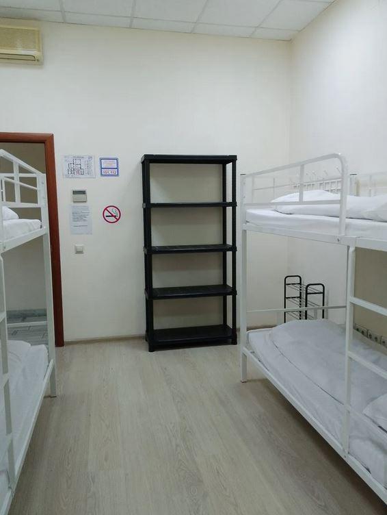 Фото Все медведи