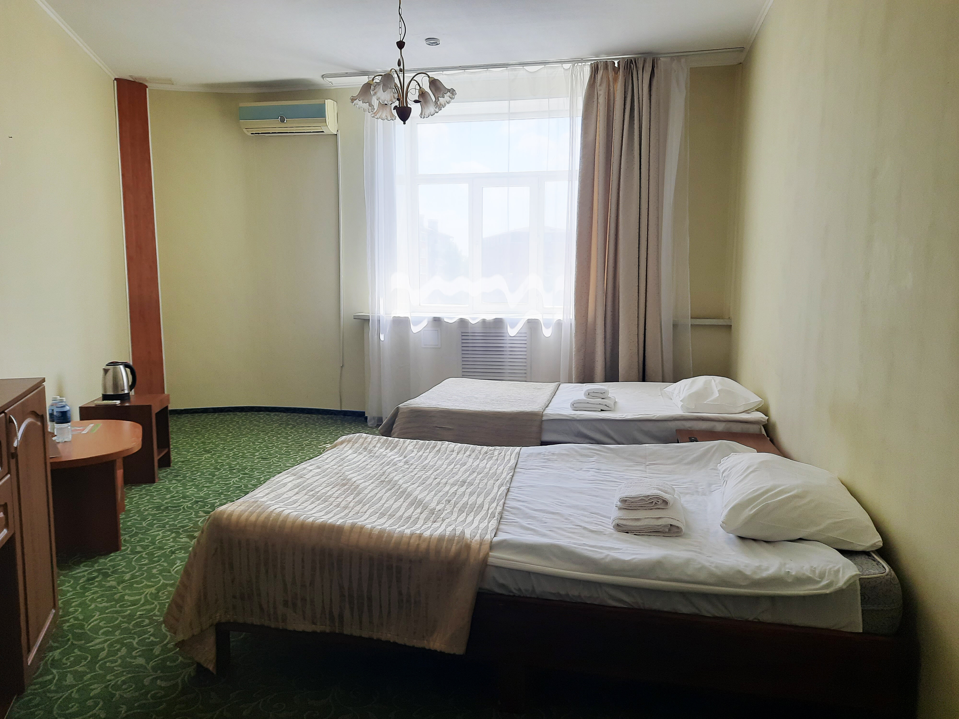 Фото Азалия