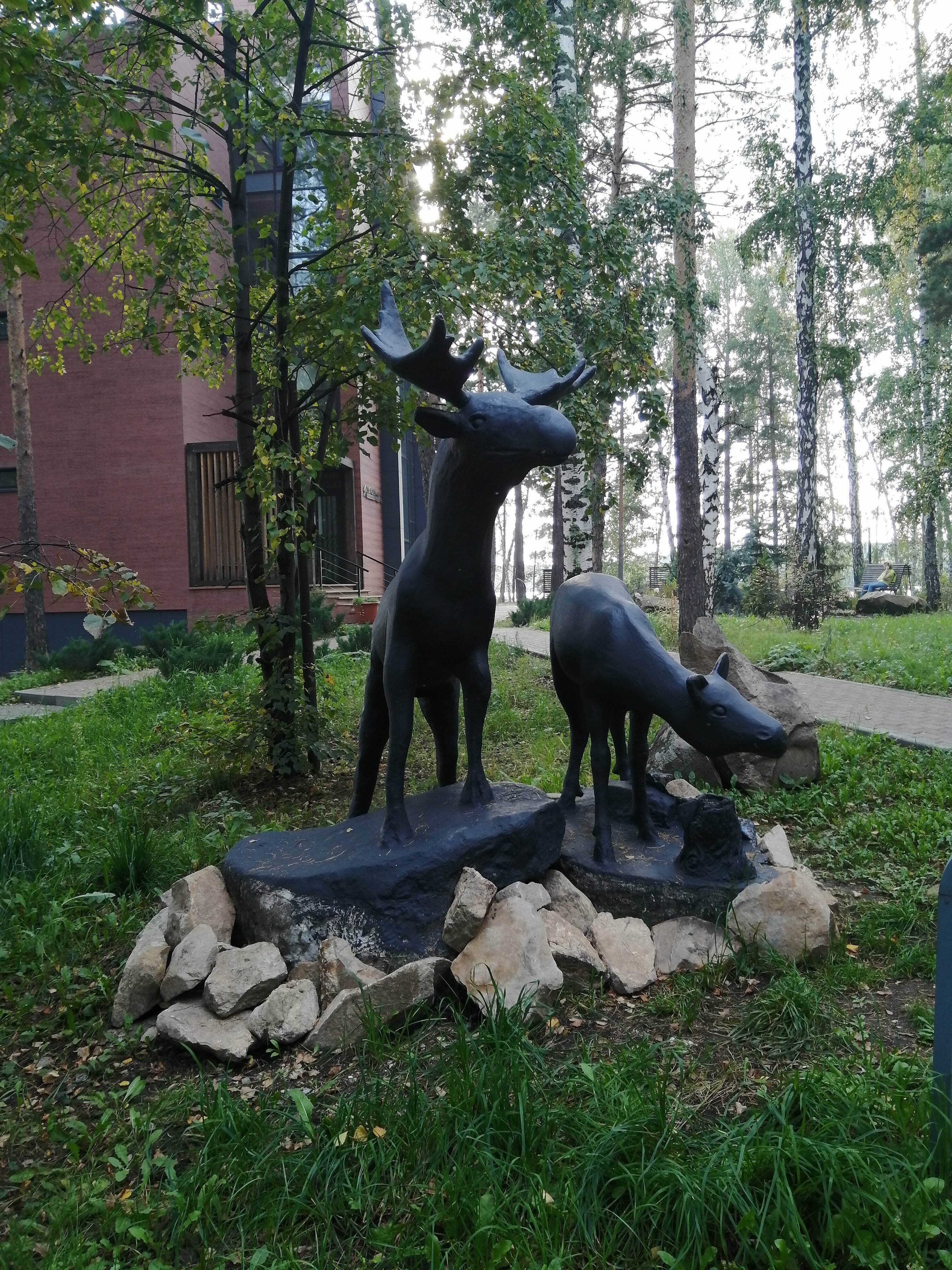 Фото Парк-отель Еловое