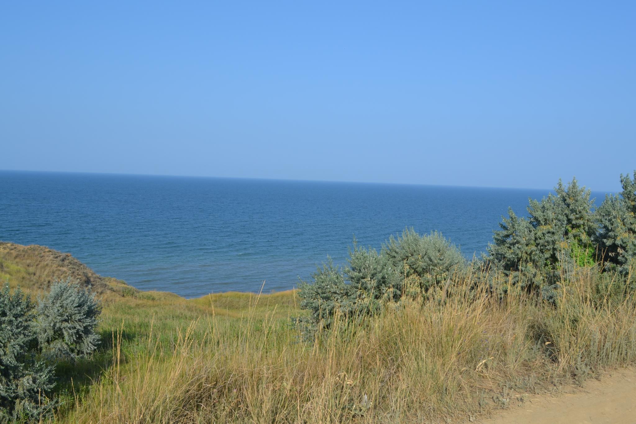 Фото Отель Лайнер