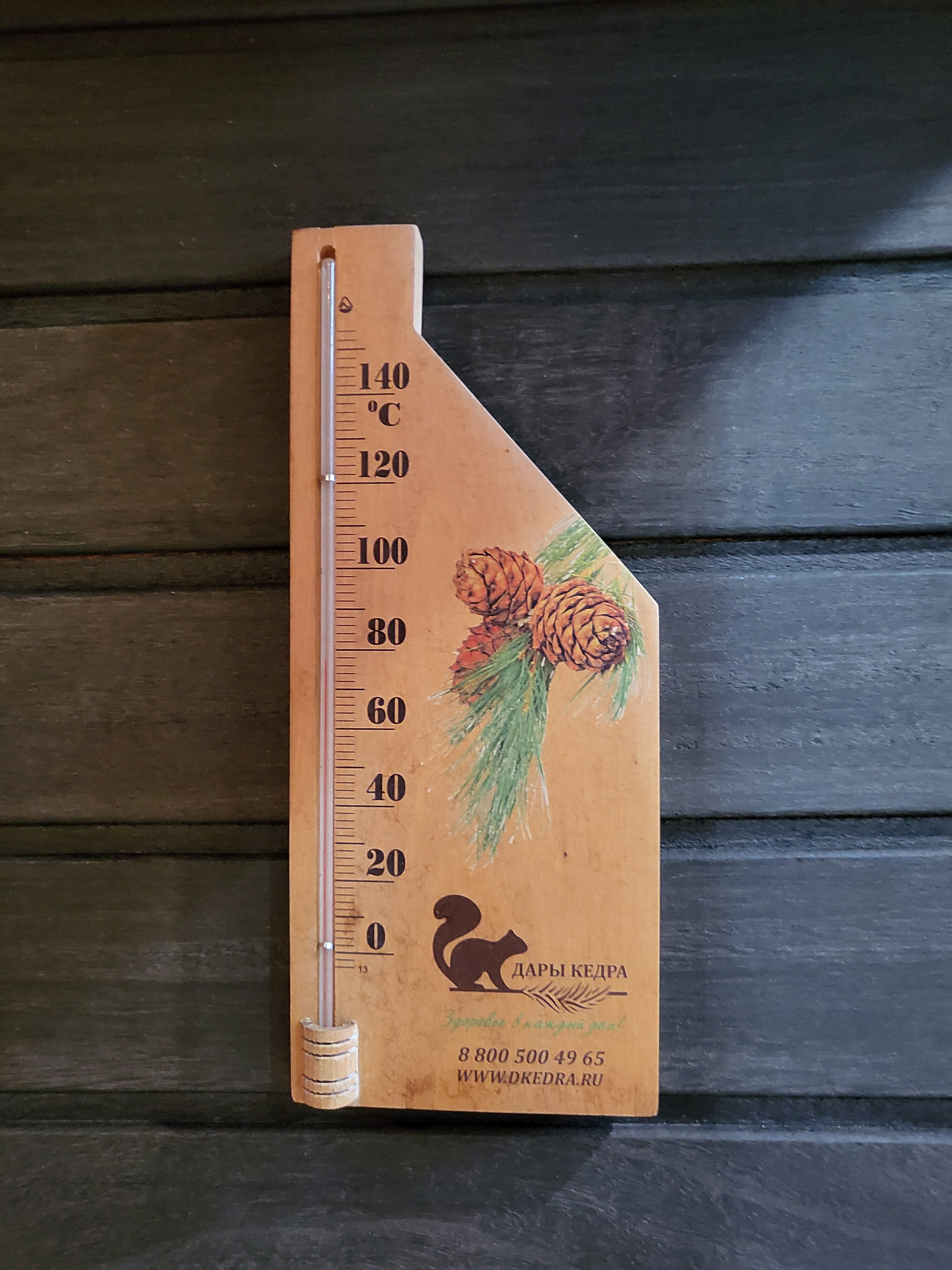 Фото Та ещё птица