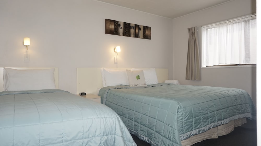 Фото Ashleigh Court Motel