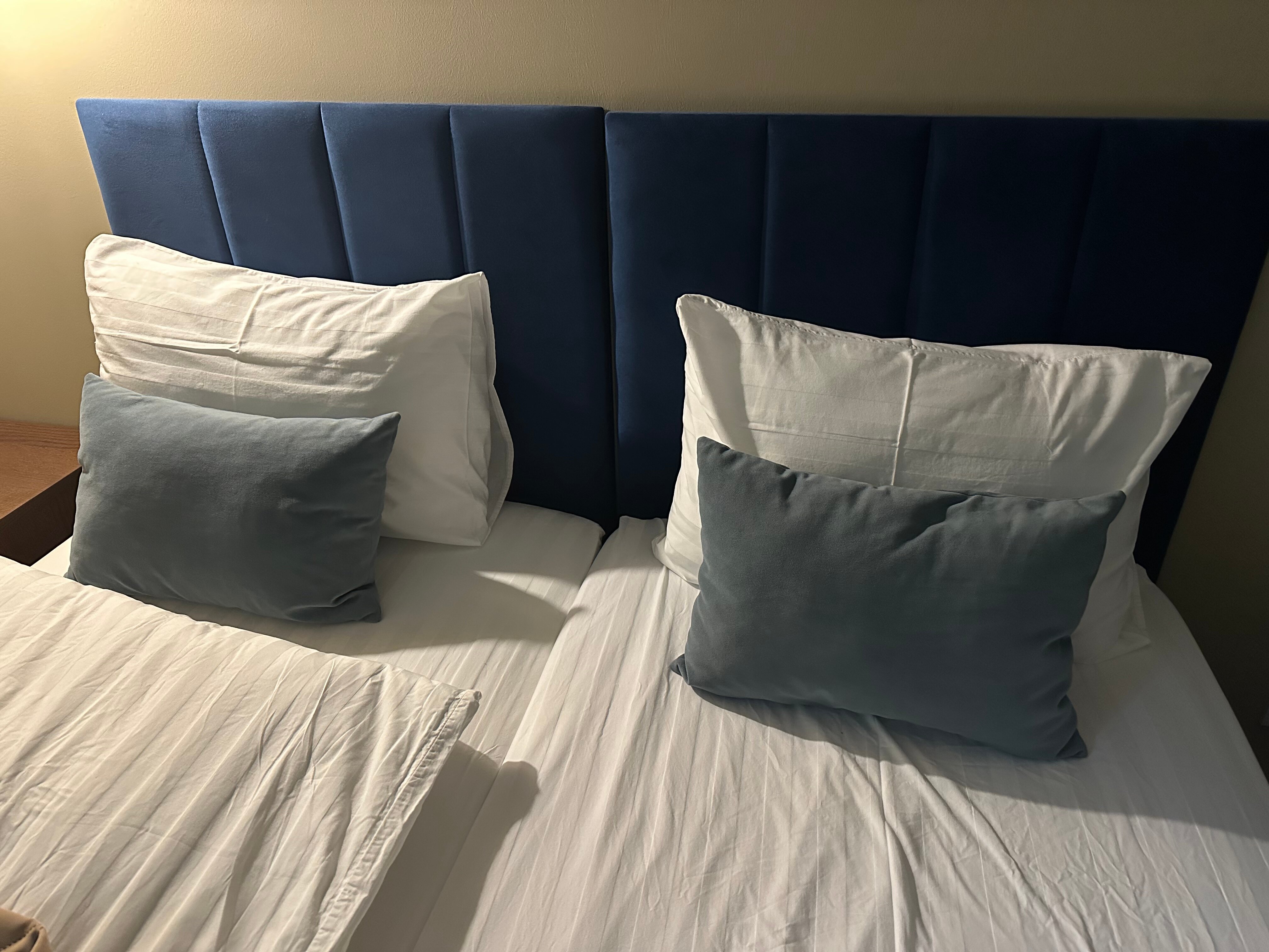 Фото Колибри