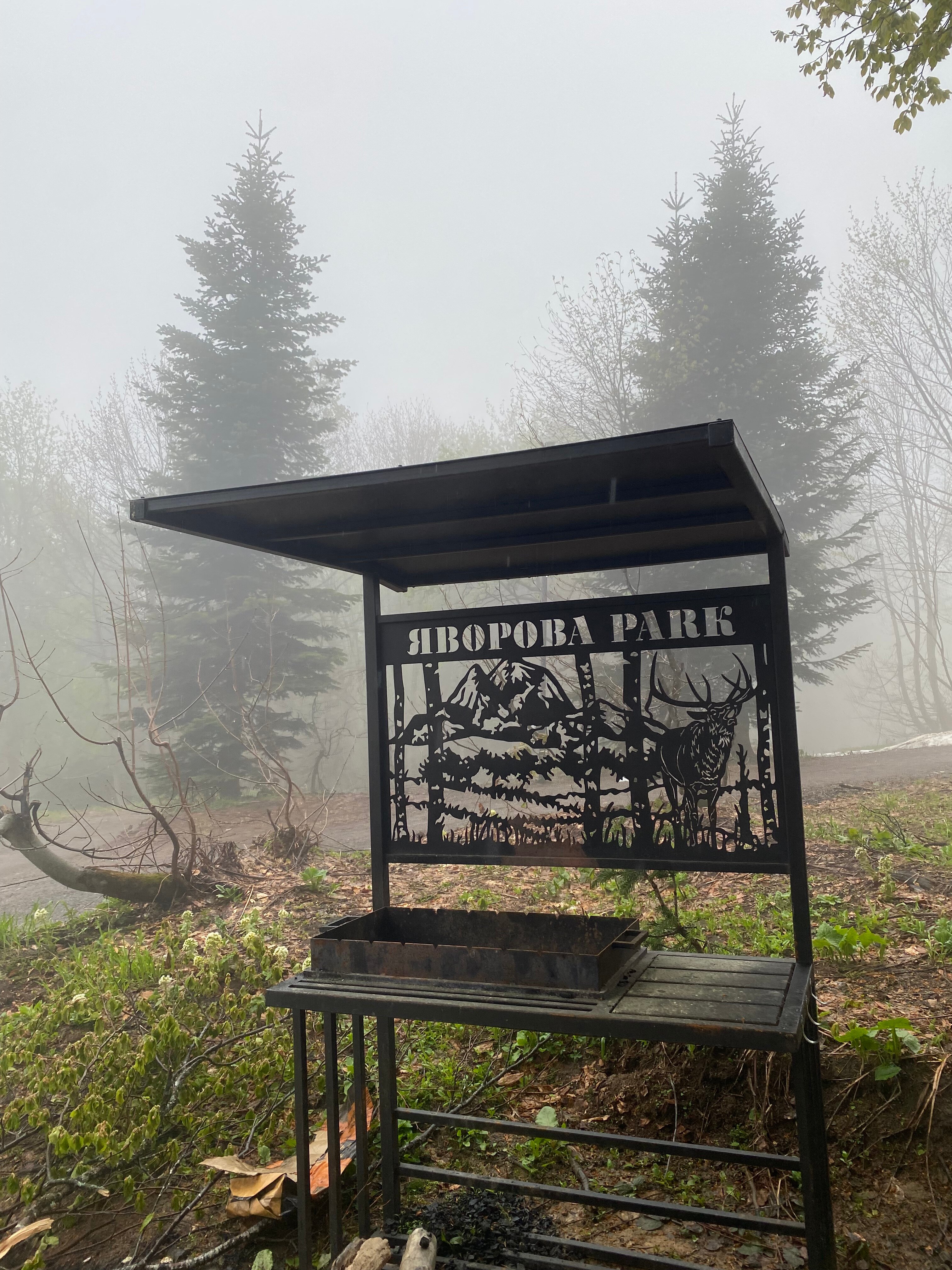 Фото Яворова Park