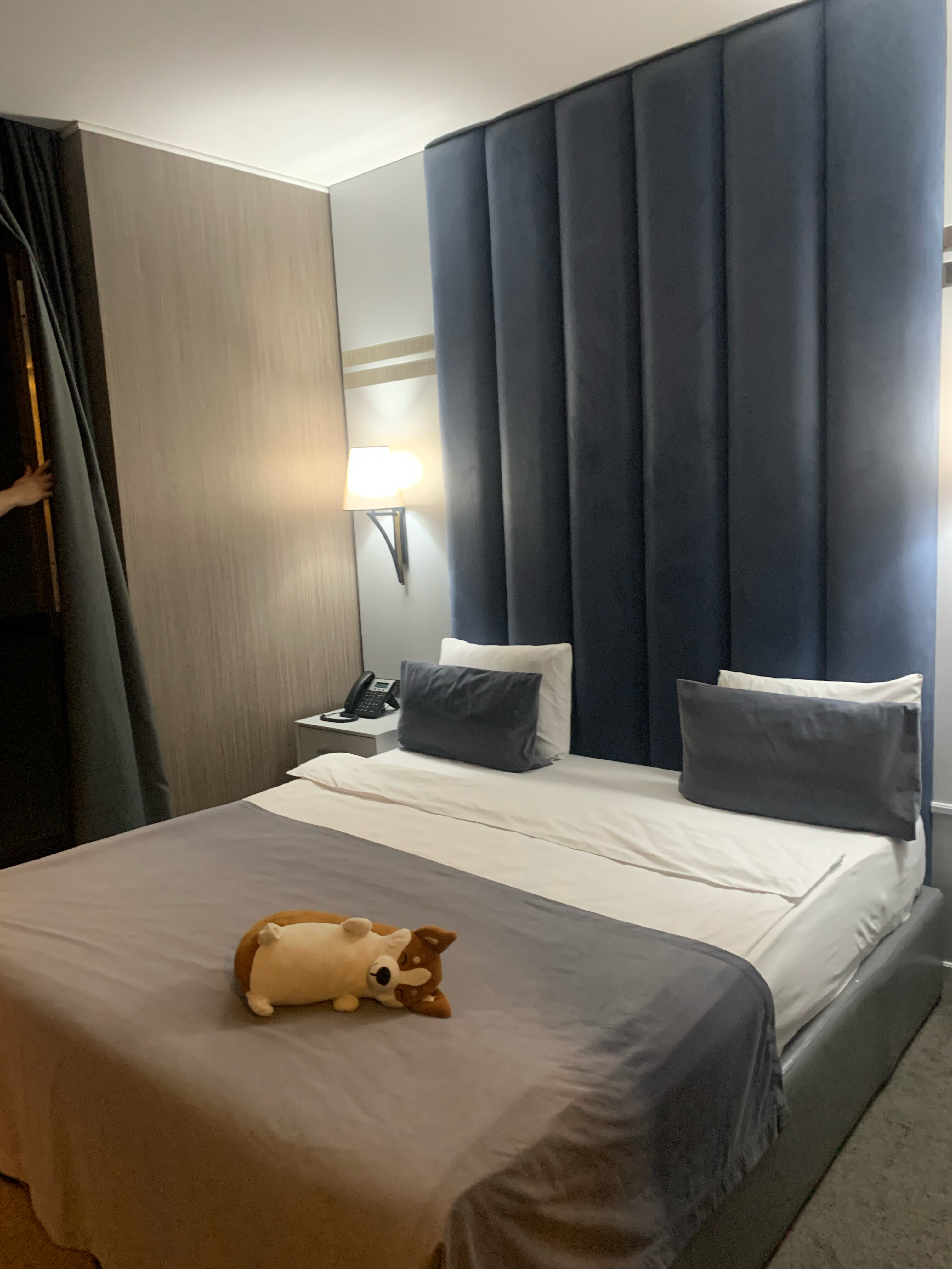 Фото Premium Park Hotel