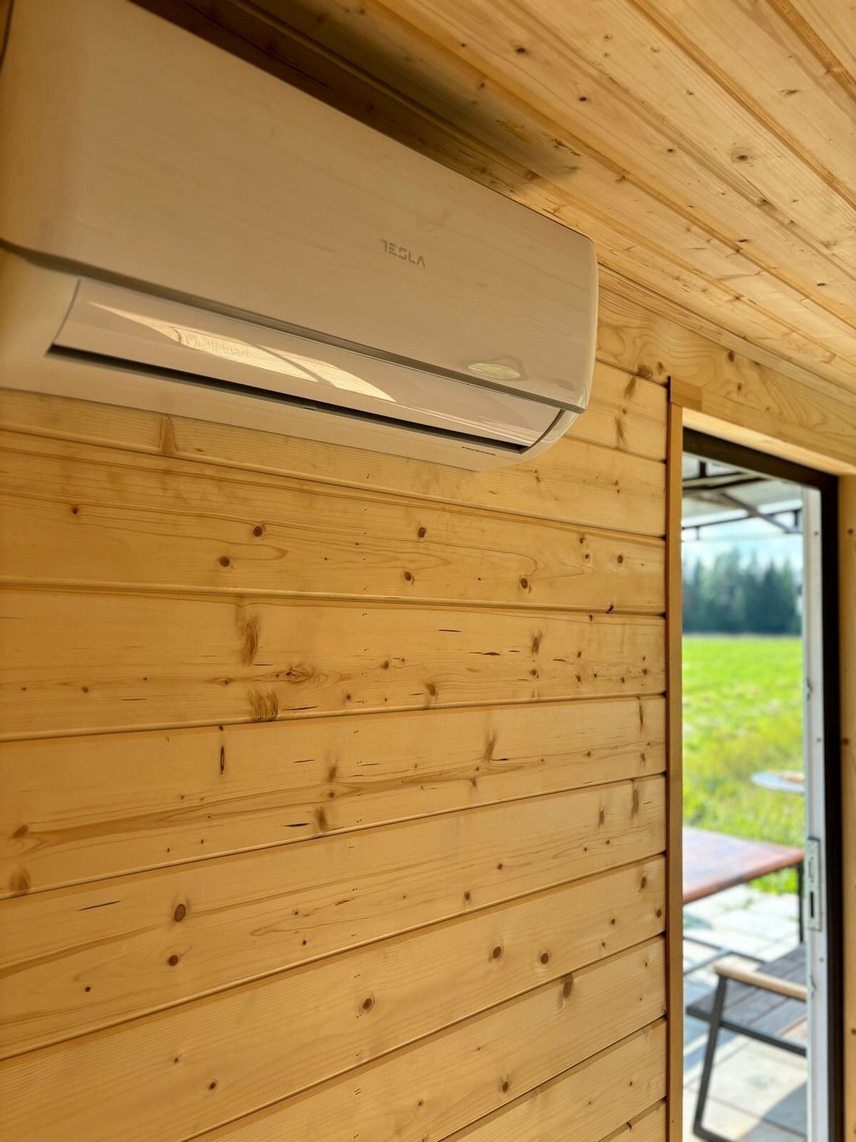 Фото Белая ежевика