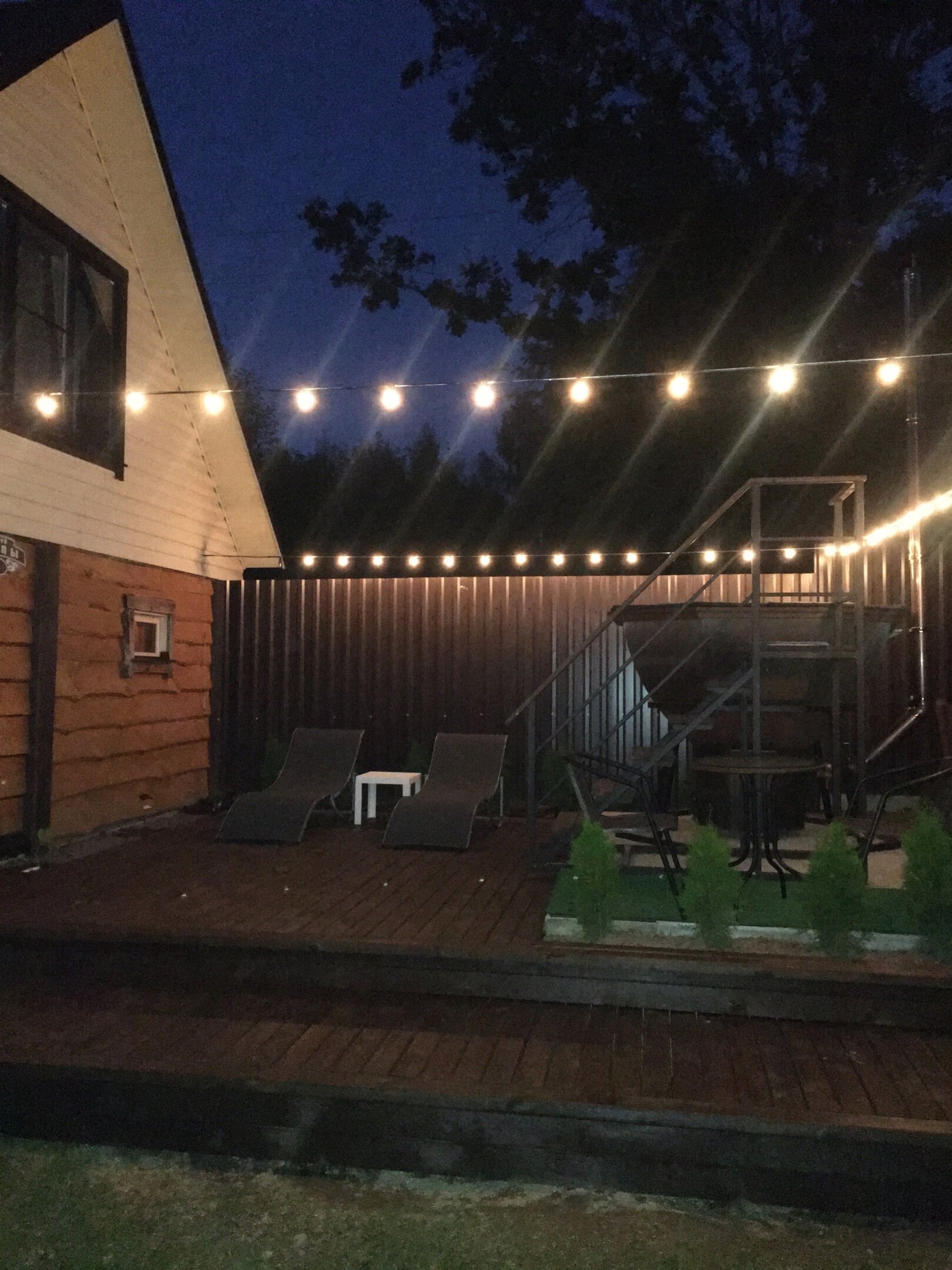 Фото Елки-палки