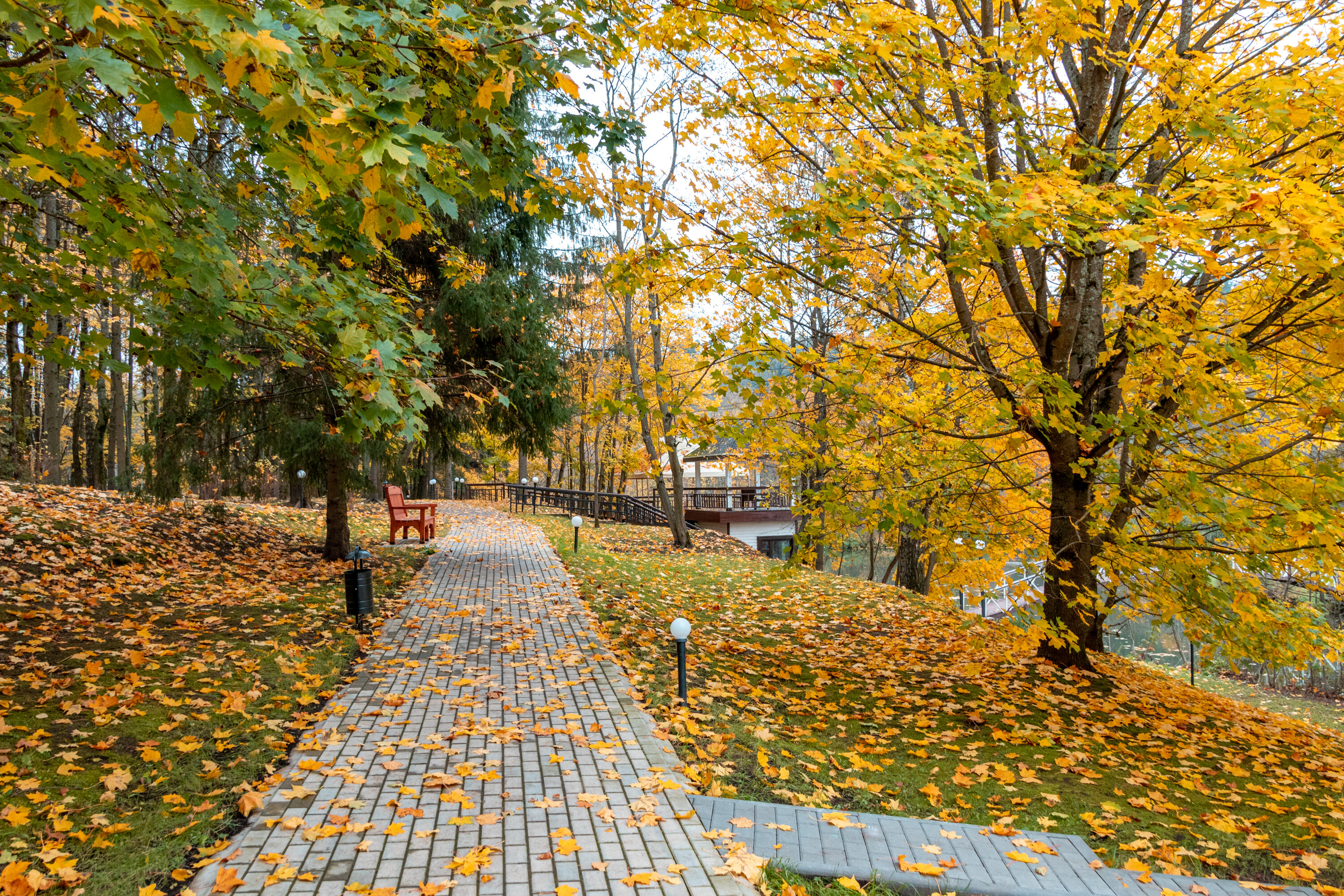 Фото Планерное