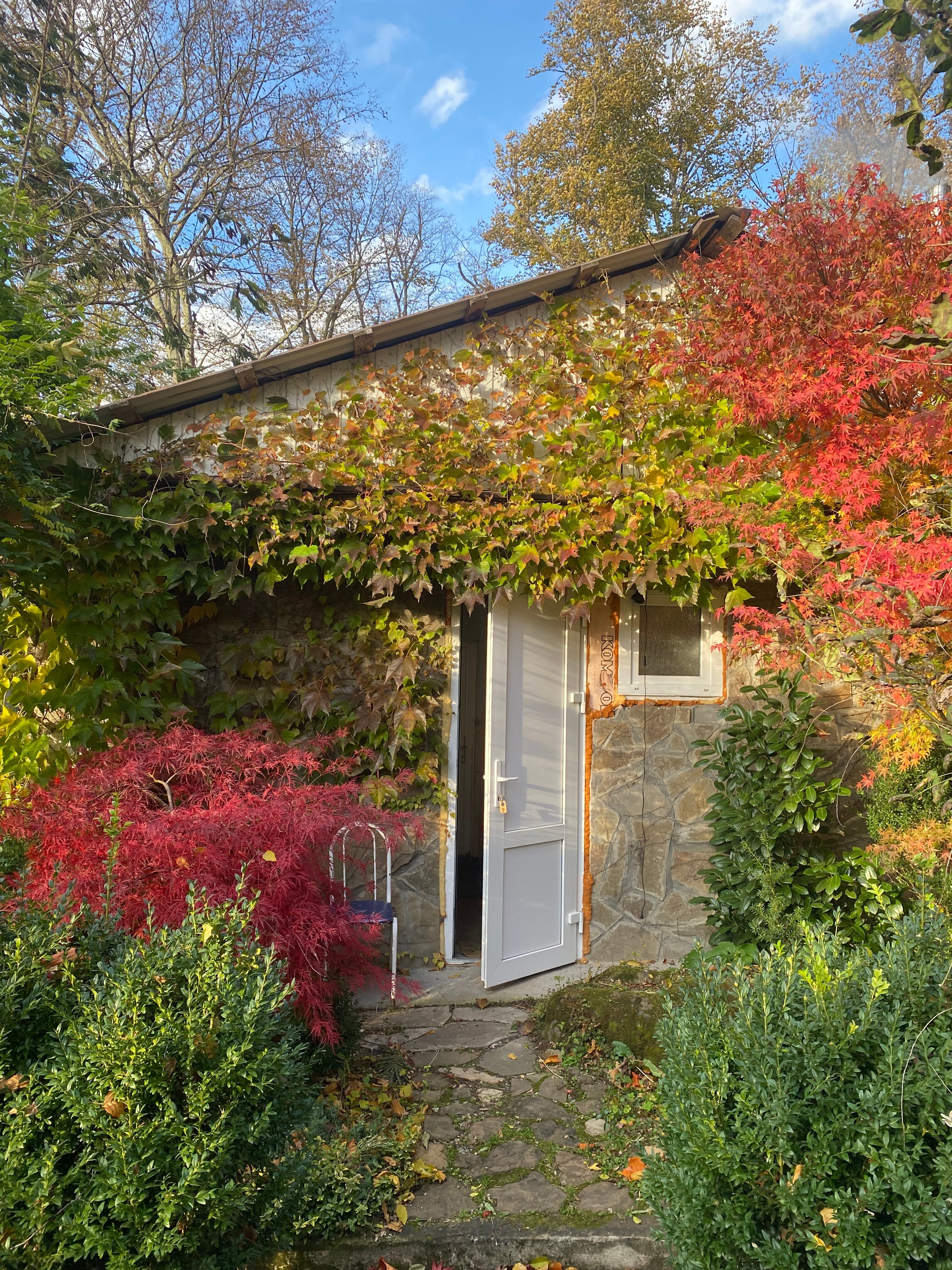 Фото Никель