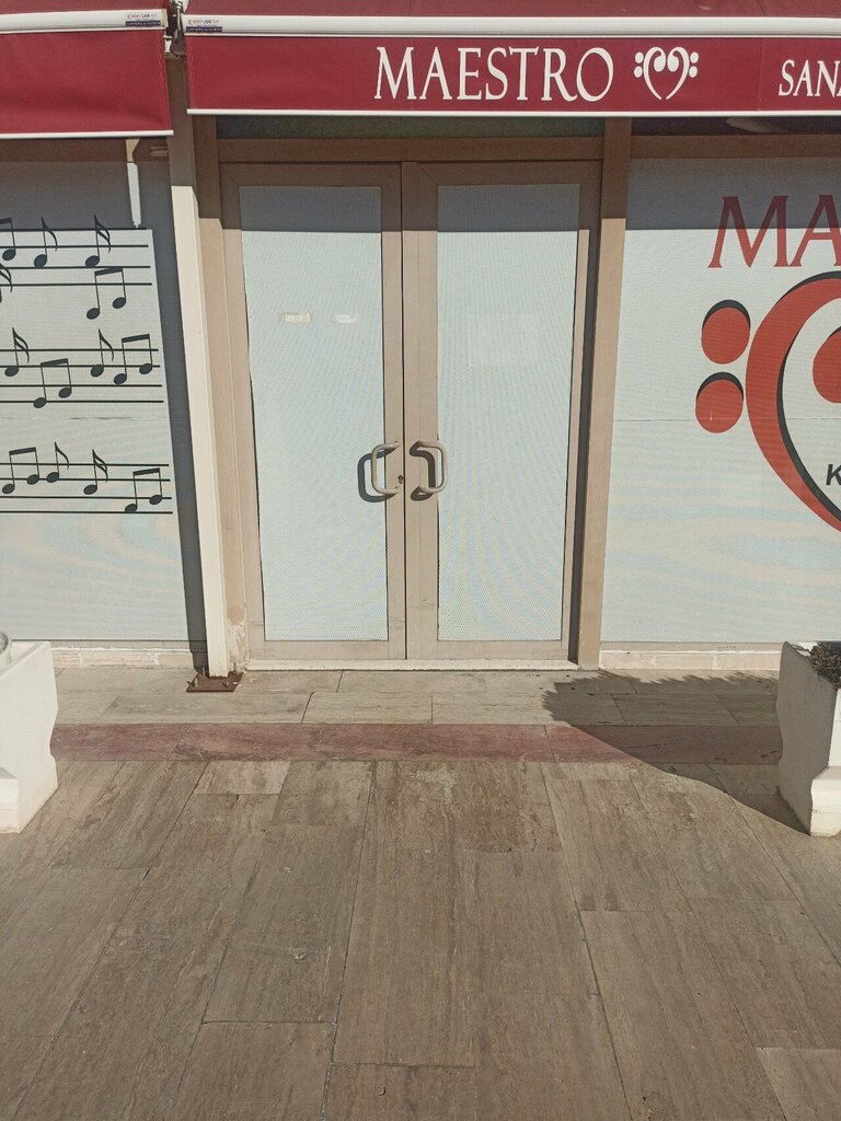 School of the arts Maestro Art, Ankara, photo